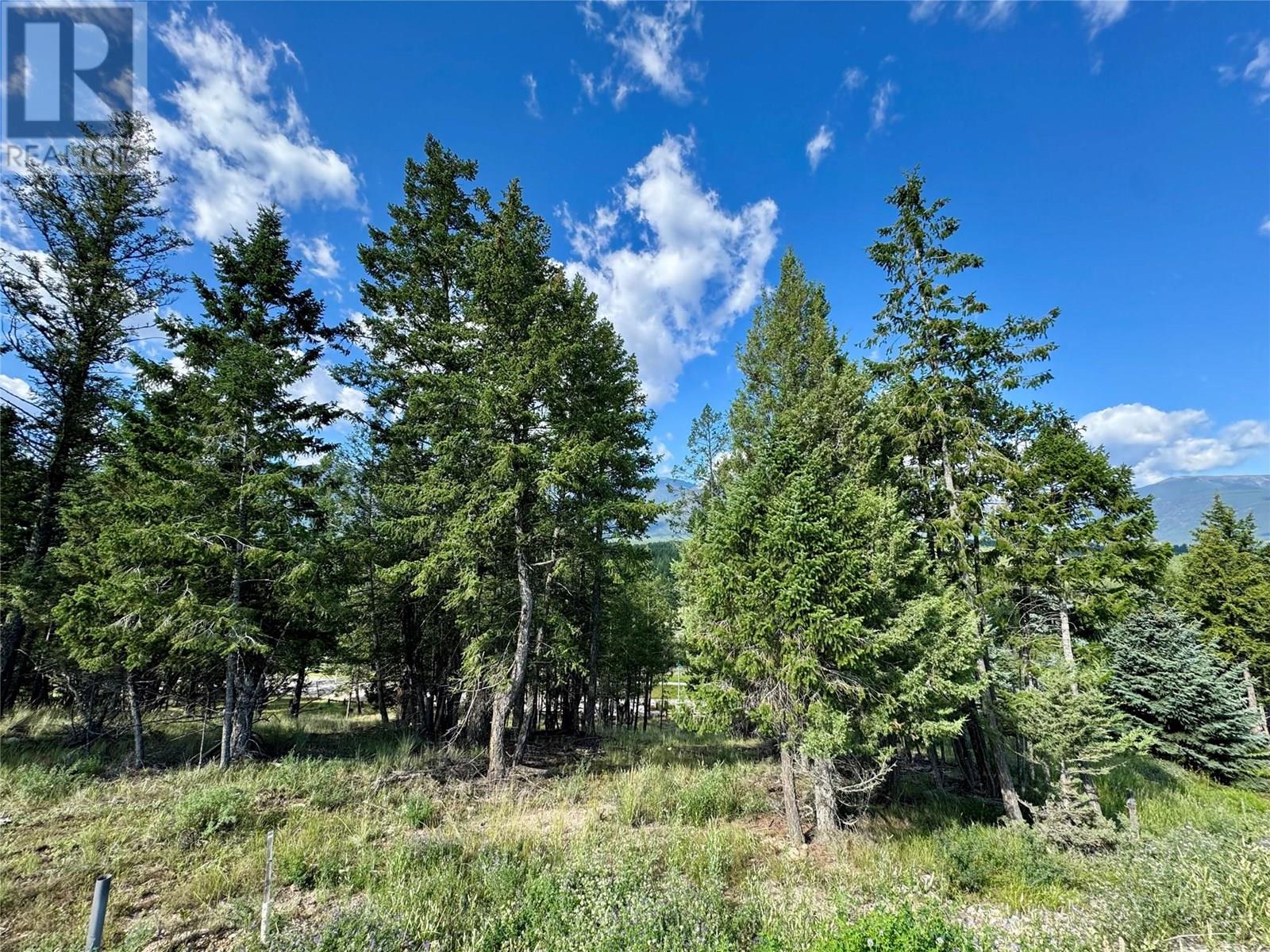 2522 Ledgerock Ridge, Invermere, British Columbia  V0A 1K0 - Photo 7 - 10354915