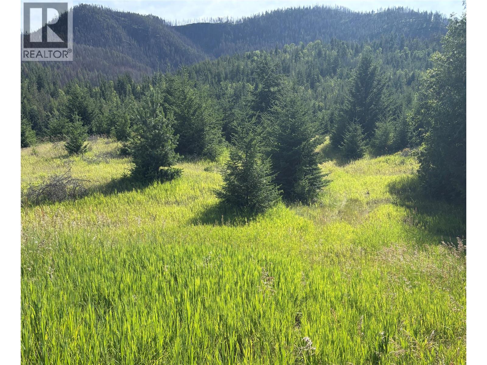 890 Dilworth Road, Sorrento, British Columbia  V0E 2W1 - Photo 3 - 10354398