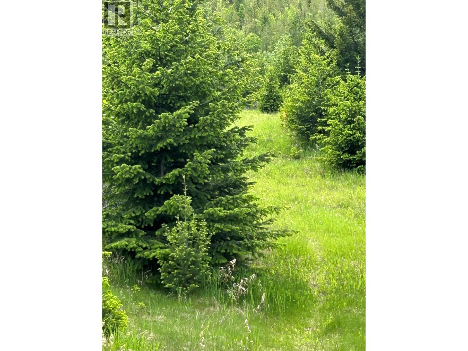 890 Dilworth Road, Sorrento, British Columbia  V0E 2W1 - Photo 7 - 10354398