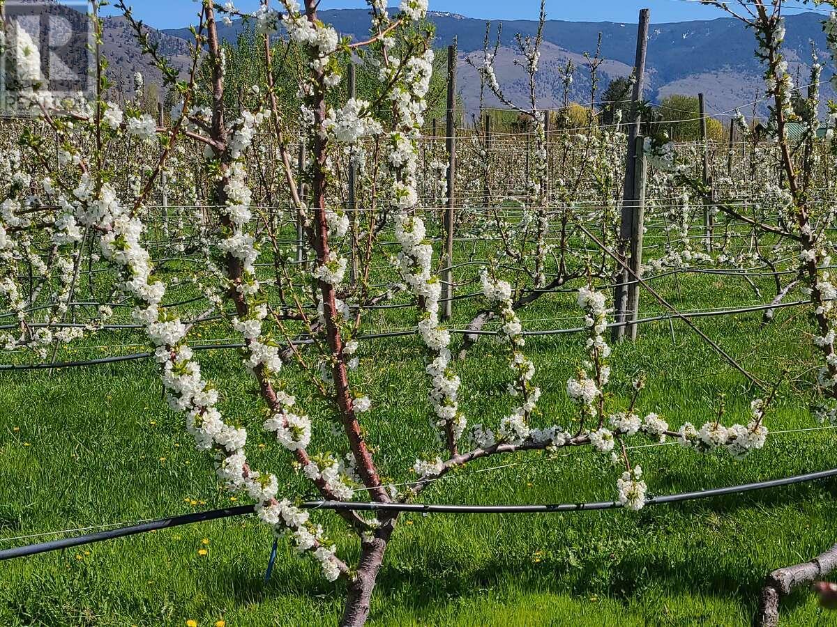 2626 Middle Bench Road, Keremeos, British Columbia  V0X 1N2 - Photo 38 - 10355076