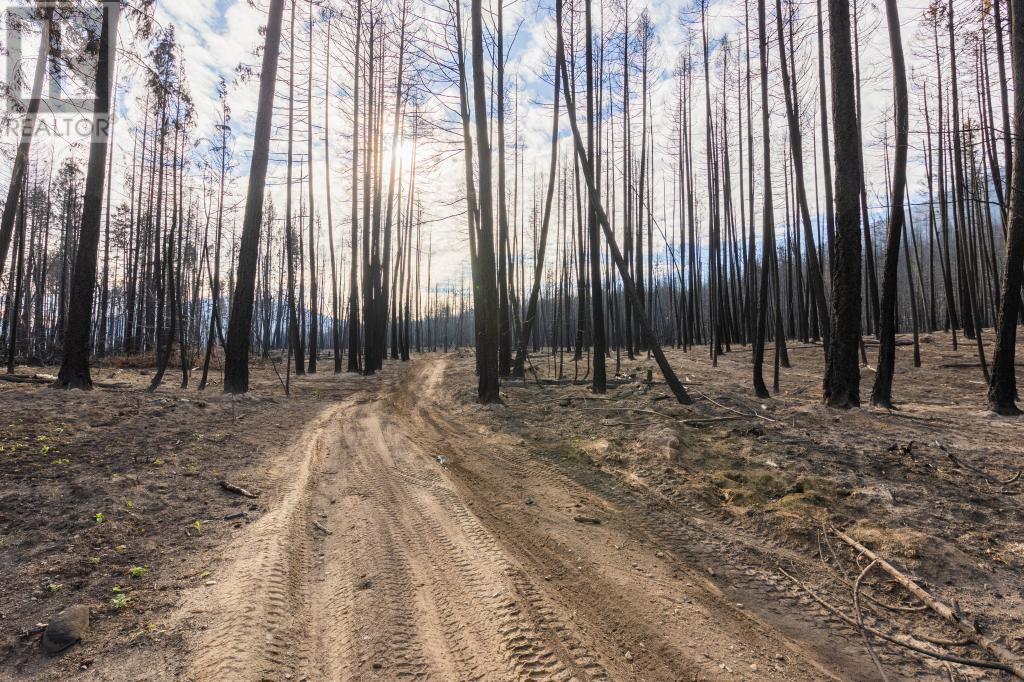 8767 Holding Road, Chase, British Columbia  V0E 1M0 - Photo 6 - 10355278