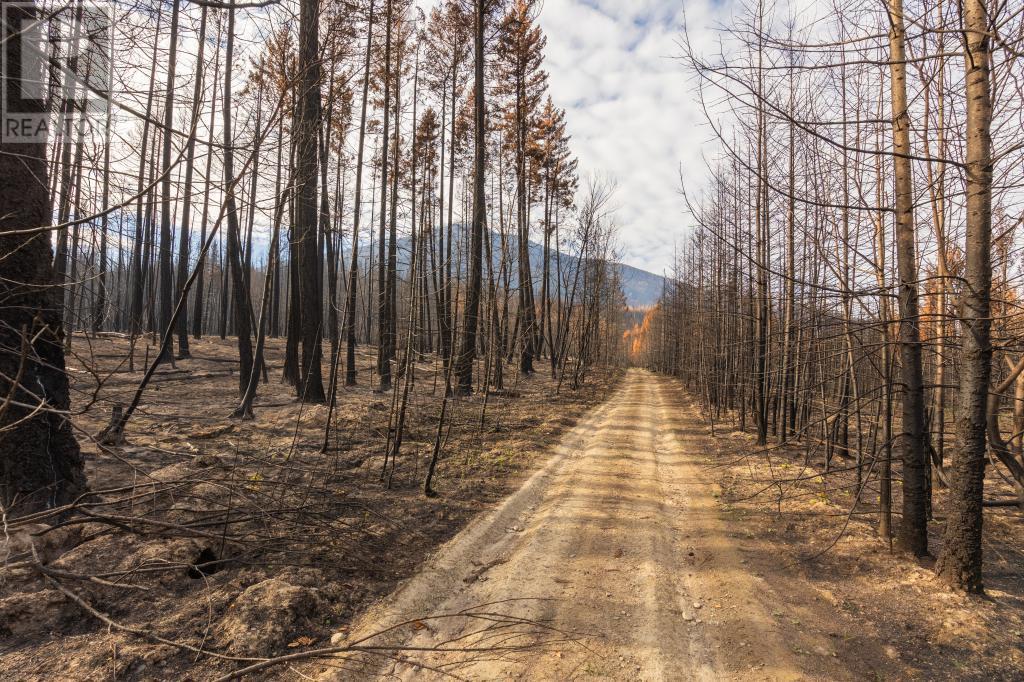 8767 Holding Road, Chase, British Columbia  V0E 1M0 - Photo 7 - 10355278