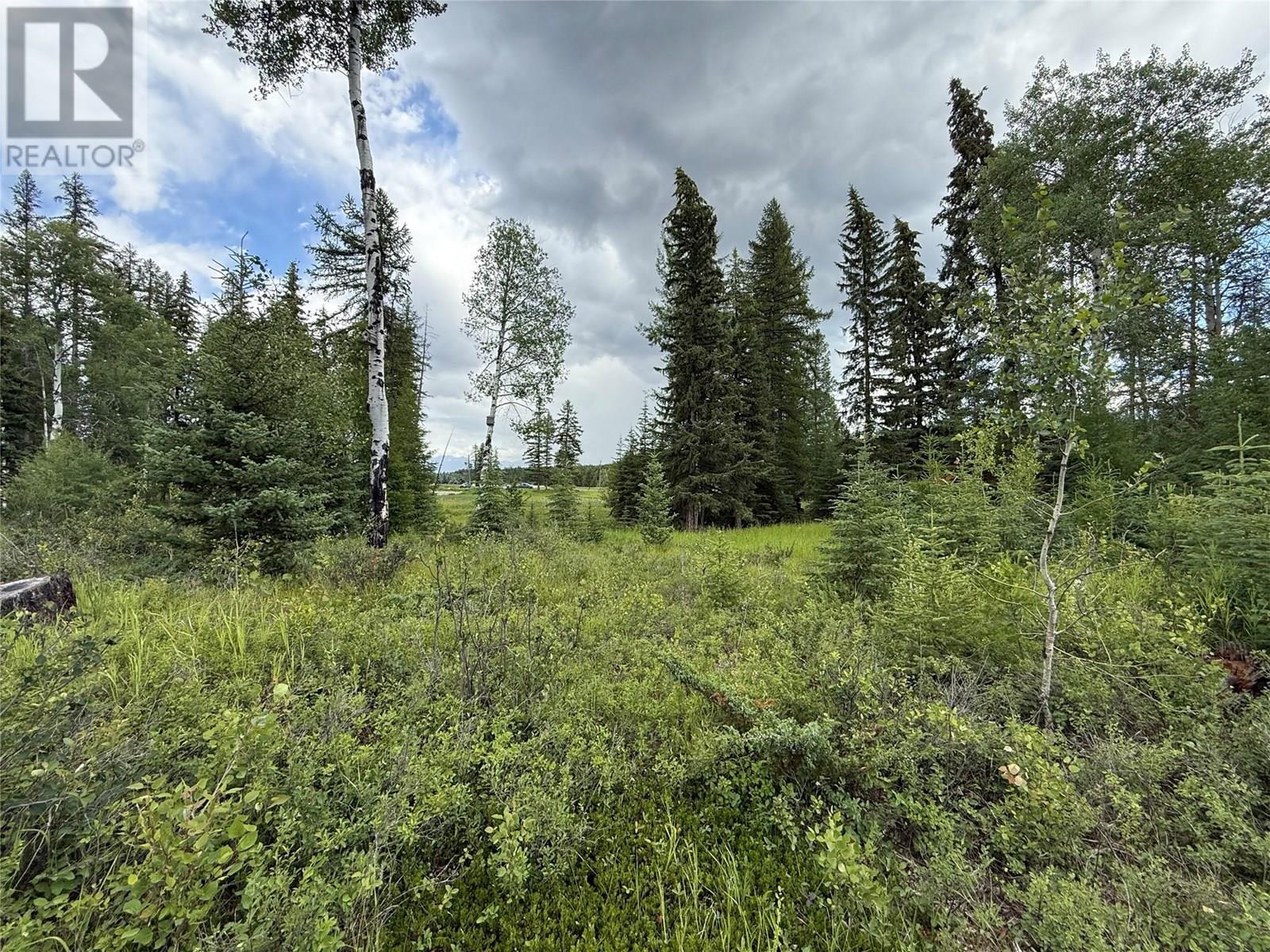 Lot K Lakeview Drive, Cranbrook, British Columbia  V1C 6W4 - Photo 20 - 10355485