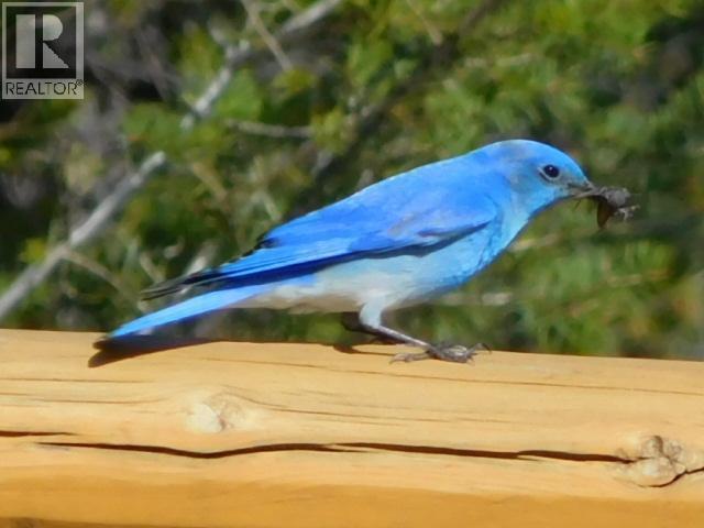 Lot 9 Bella Vista Boulevard, Fairmont Hot Springs, British Columbia  V0B 1L1 - Photo 23 - 10355322