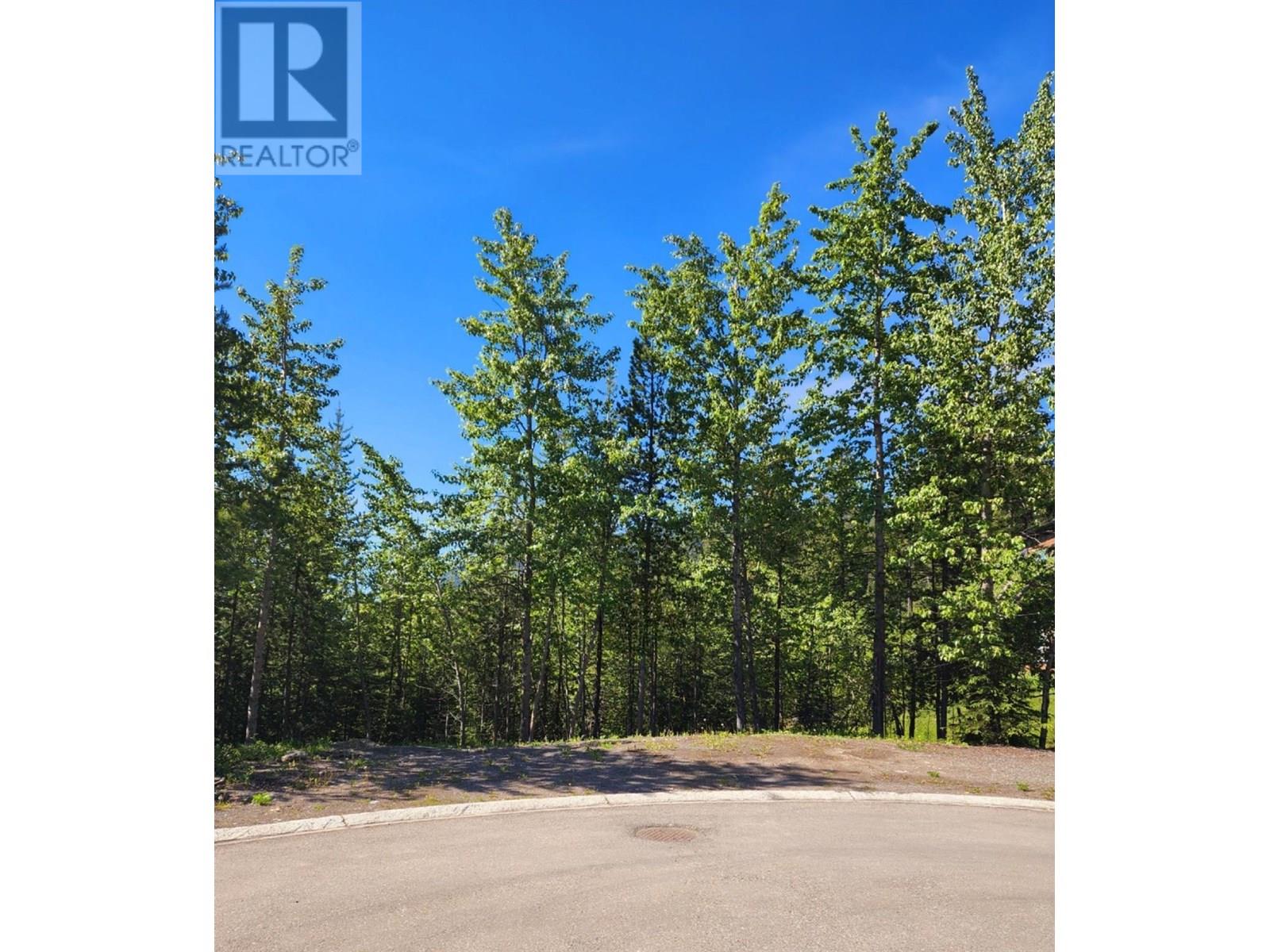 4 Dempsey Place, Elkford, British Columbia  V0B 1H0 - Photo 1 - 10355526