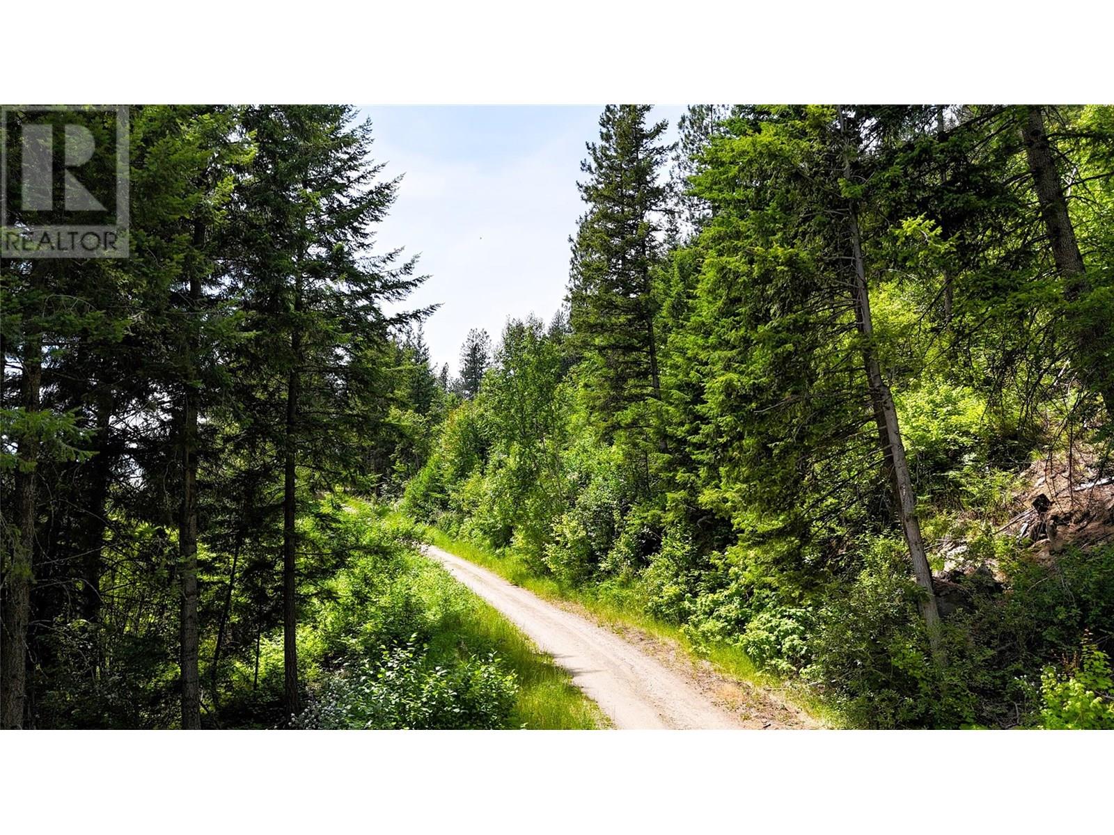 Sentinel Mountain Forest Service Road Road, Thrums, British Columbia  V1N 4M8 - Photo 11 - 10355354