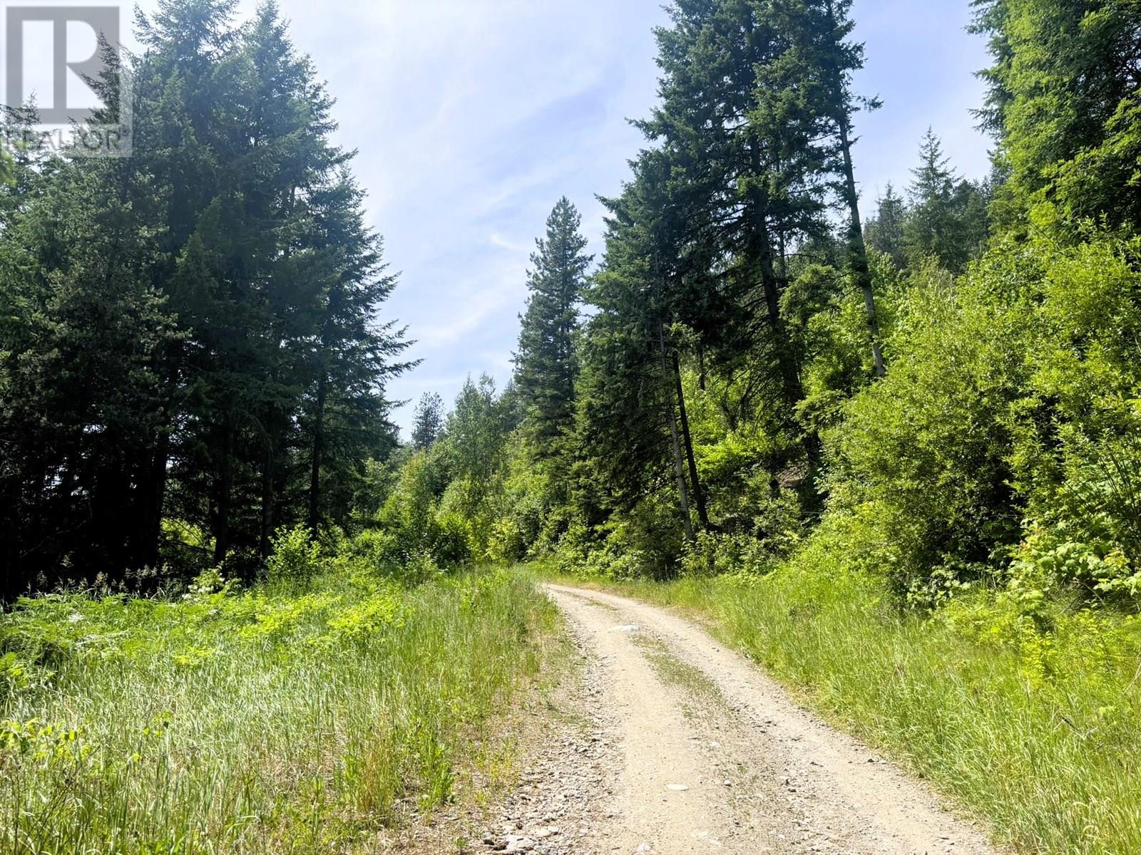 Sentinel Mountain Forest Service Road Road, Thrums, British Columbia  V1N 4M8 - Photo 12 - 10355354