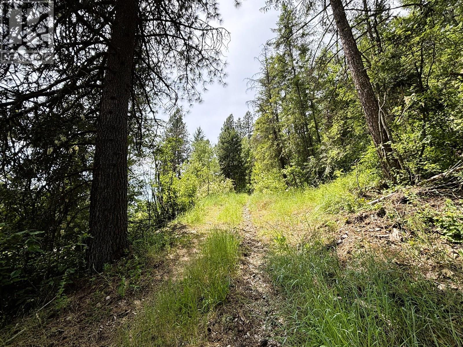 Sentinel Mountain Forest Service Road Road, Thrums, British Columbia  V1N 4M8 - Photo 13 - 10355354