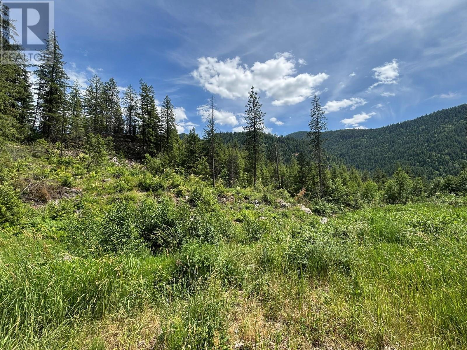 Sentinel Mountain Forest Service Road Road, Thrums, British Columbia  V1N 4M8 - Photo 14 - 10355354