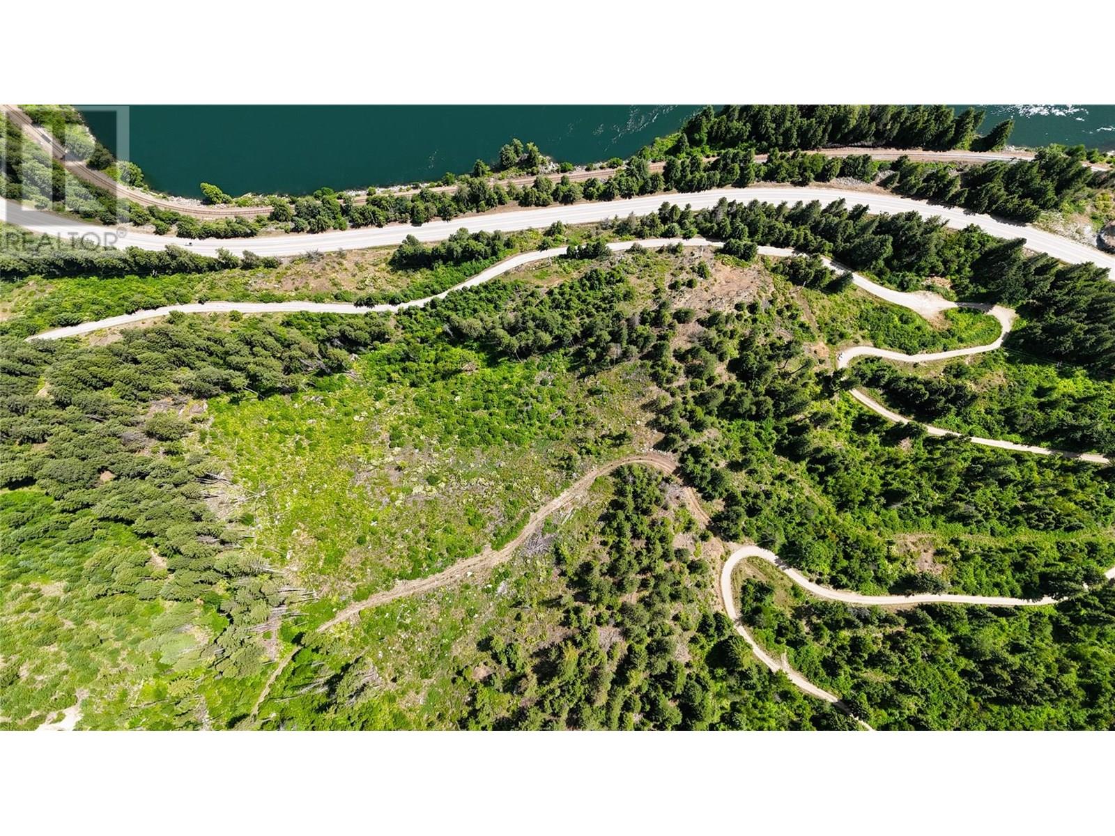 Sentinel Mountain Forest Service Road Road, Thrums, British Columbia  V1N 4M8 - Photo 6 - 10355354