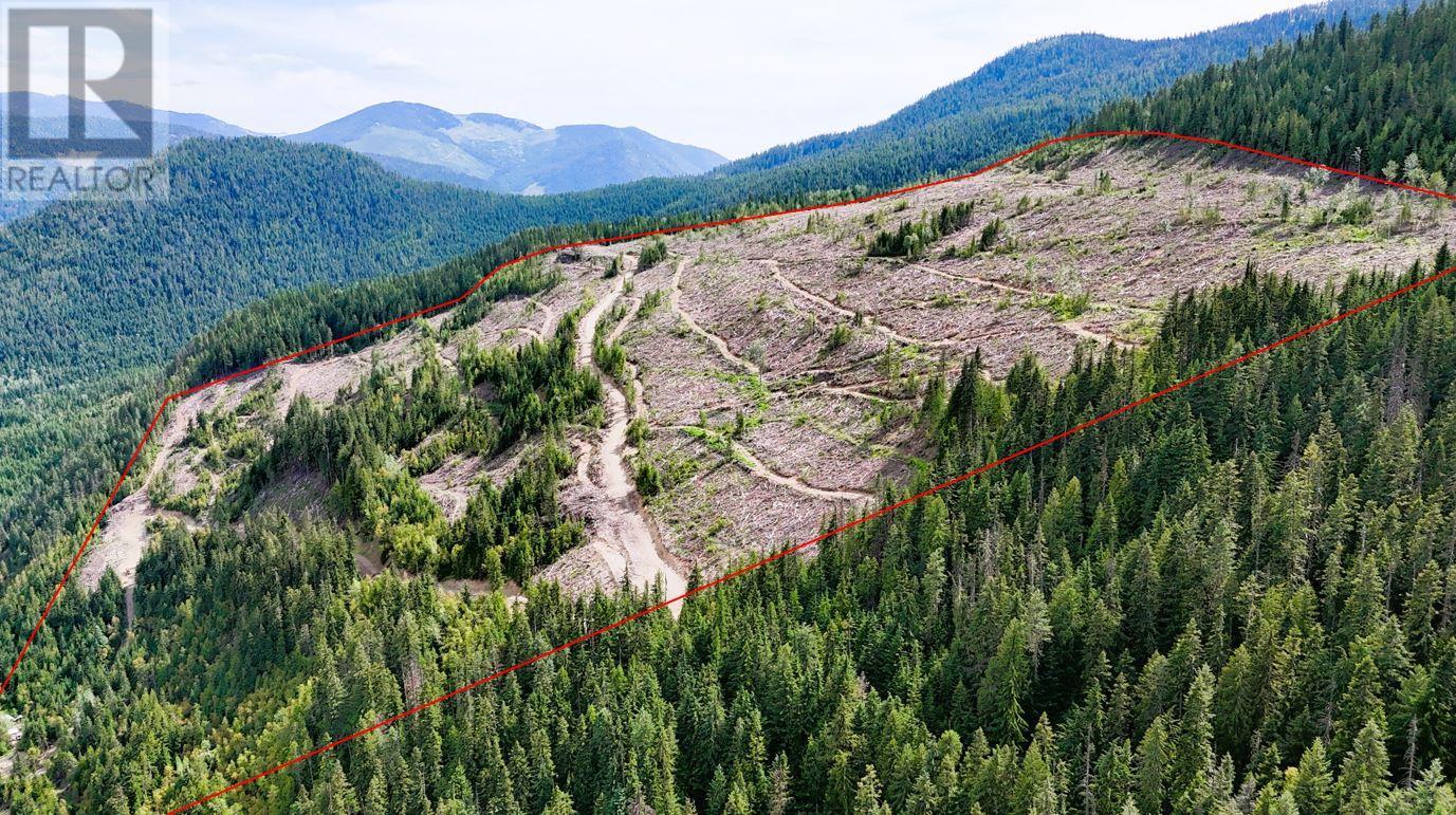 Quartz Creek Forest Service Road Road Lot# Parcel A, Ymir, British Columbia  V0G 2K0 - Photo 1 - 10355443