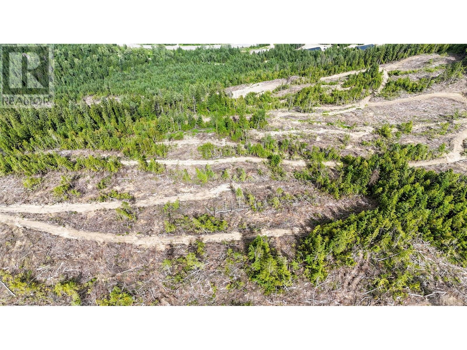 Quartz Creek Forest Service Road Road Lot# Parcel A, Ymir, British Columbia  V0G 2K0 - Photo 10 - 10355443