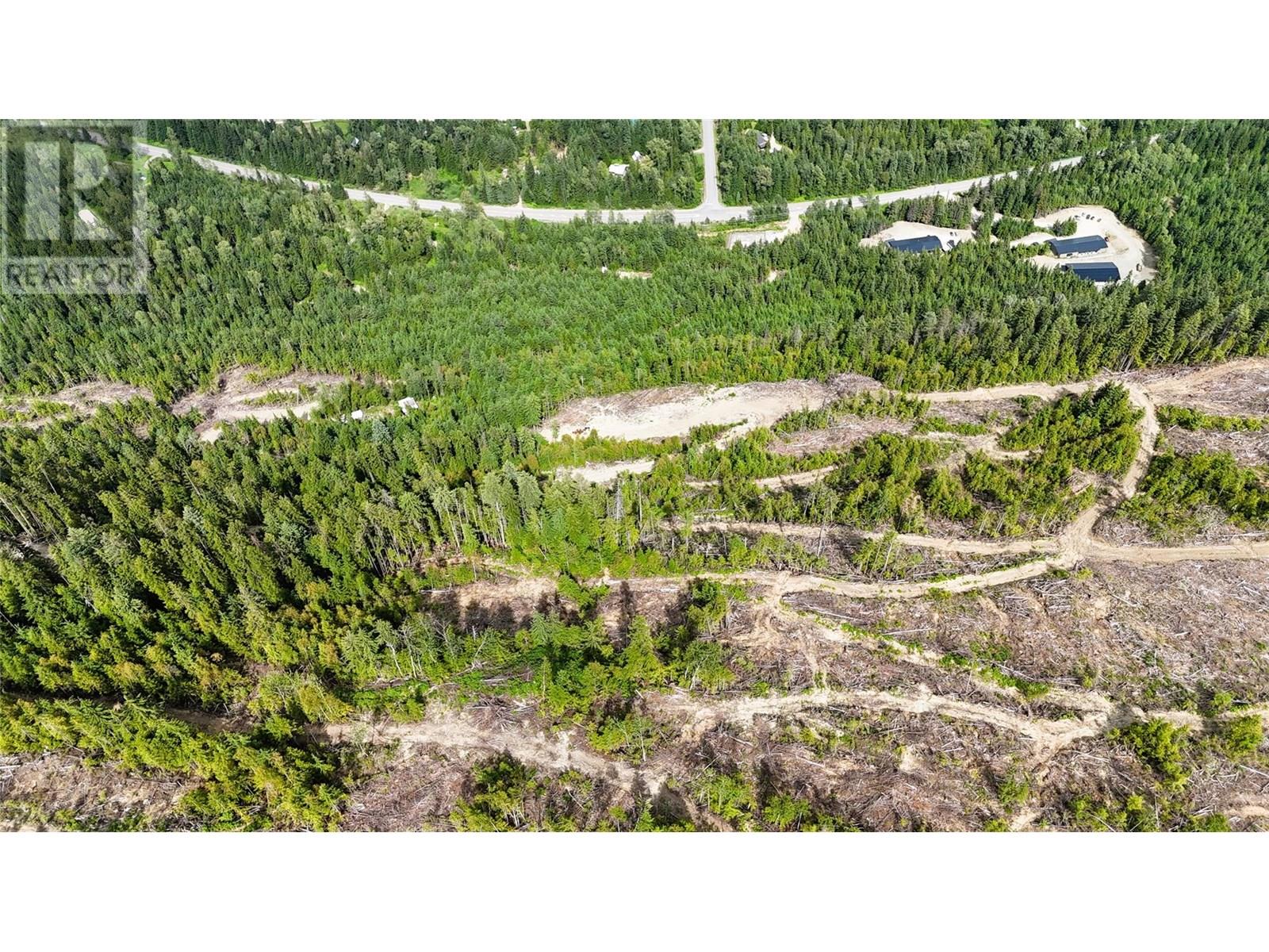 Quartz Creek Forest Service Road Road Lot# Parcel A, Ymir, British Columbia  V0G 2K0 - Photo 11 - 10355443