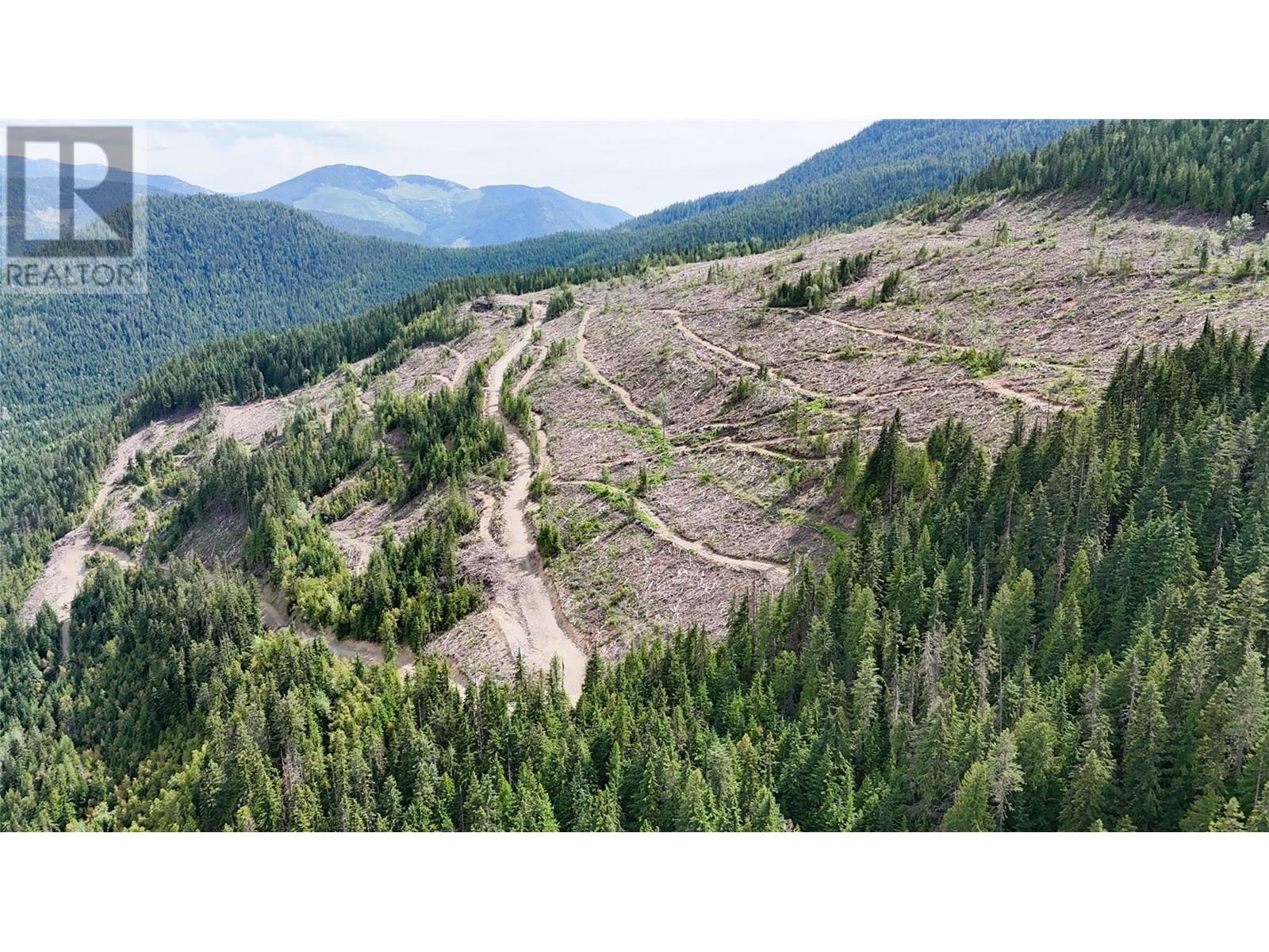 Quartz Creek Forest Service Road Road Lot# Parcel A, Ymir, British Columbia  V0G 2K0 - Photo 2 - 10355443