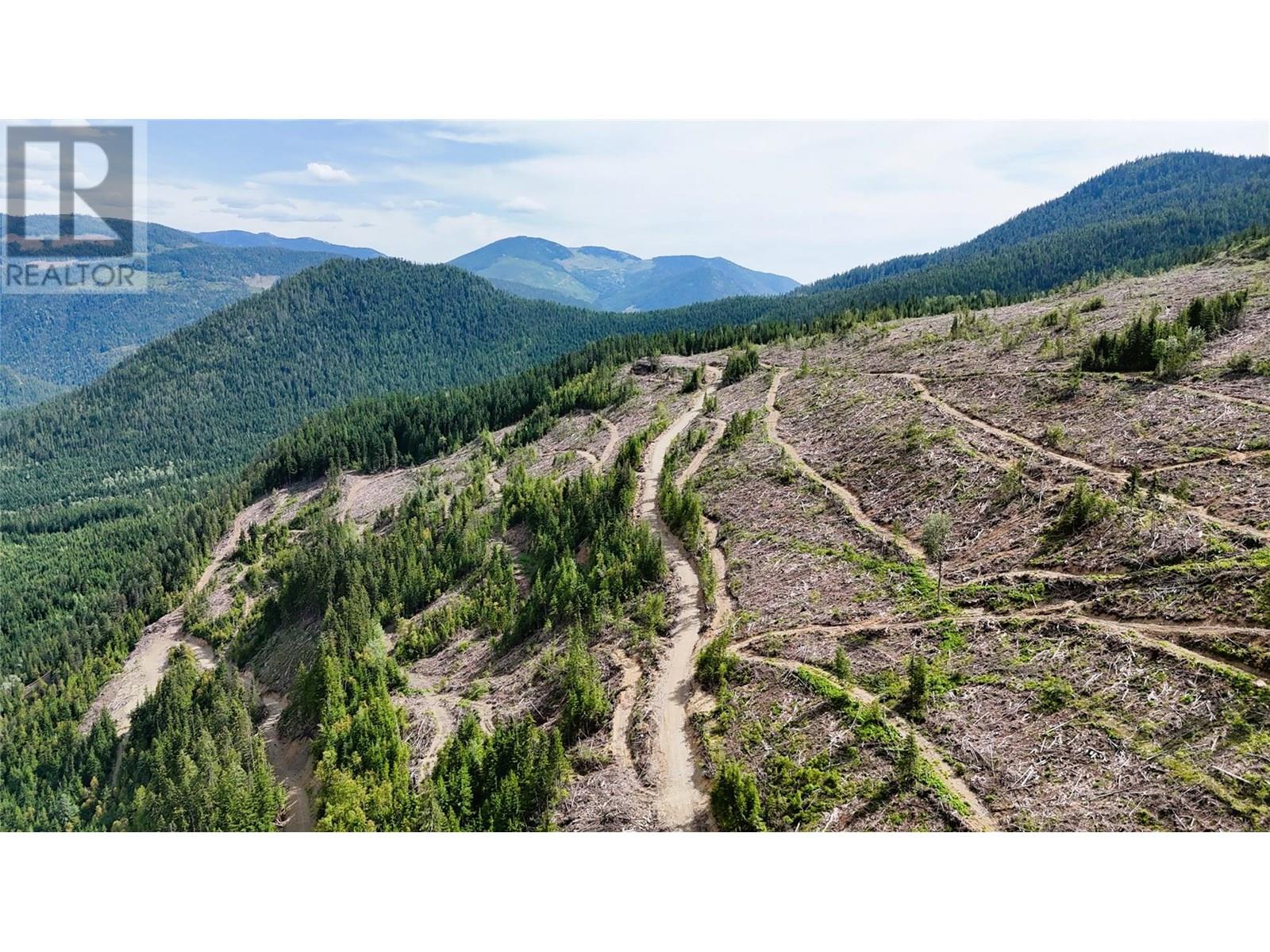Quartz Creek Forest Service Road Road Lot# Parcel A, Ymir, British Columbia  V0G 2K0 - Photo 3 - 10355443