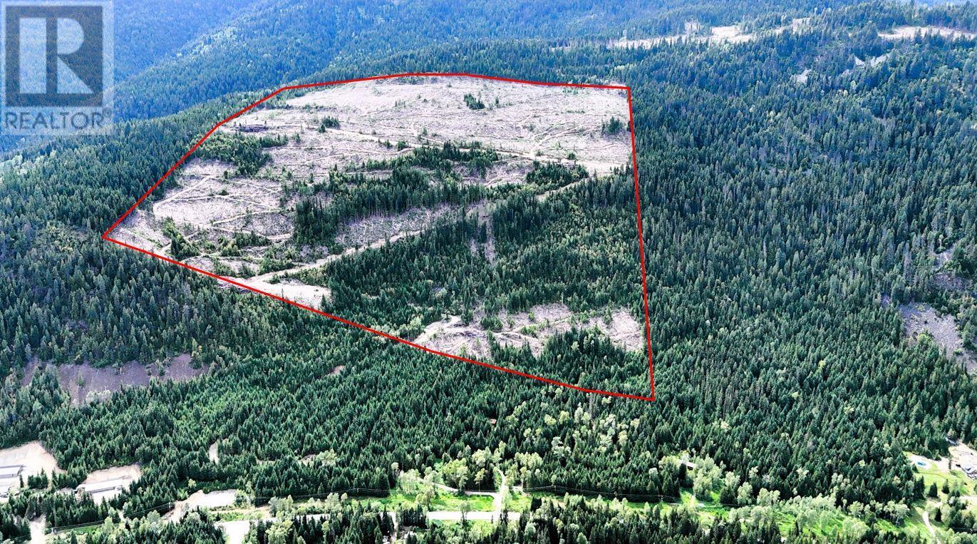 Quartz Creek Forest Service Road Road Lot# Parcel A, Ymir, British Columbia  V0G 2K0 - Photo 4 - 10355443