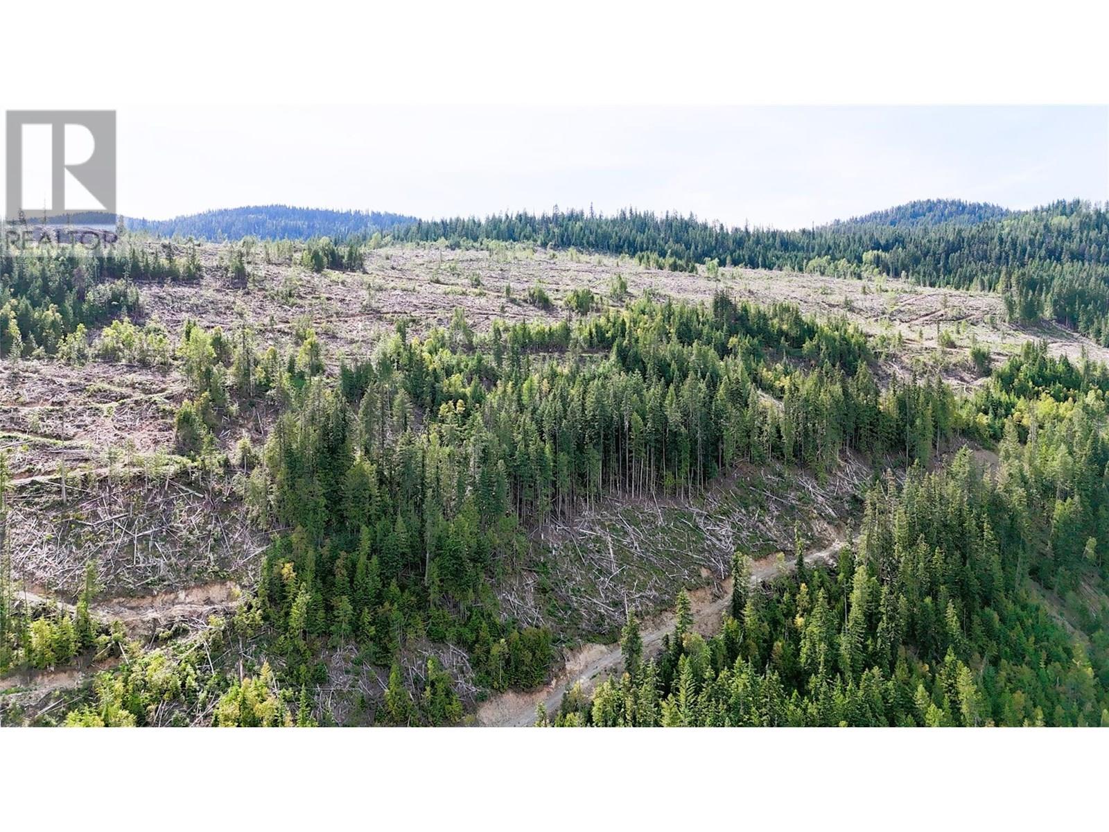 Quartz Creek Forest Service Road Road Lot# Parcel A, Ymir, British Columbia  V0G 2K0 - Photo 5 - 10355443