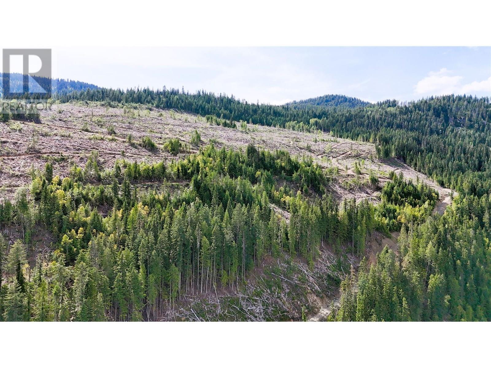 Quartz Creek Forest Service Road Road Lot# Parcel A, Ymir, British Columbia  V0G 2K0 - Photo 6 - 10355443