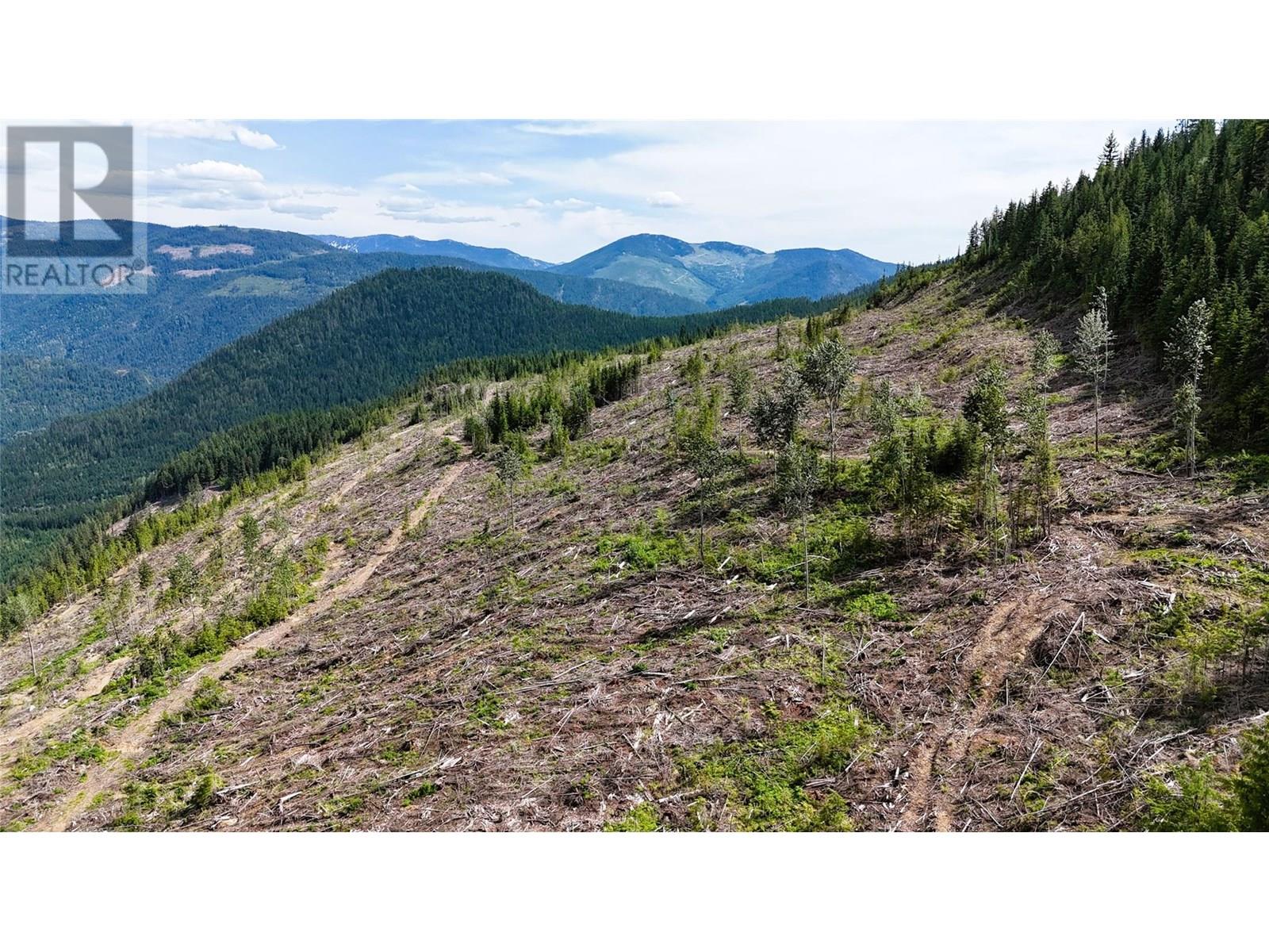 Quartz Creek Forest Service Road Road Lot# Parcel A, Ymir, British Columbia  V0G 2K0 - Photo 7 - 10355443