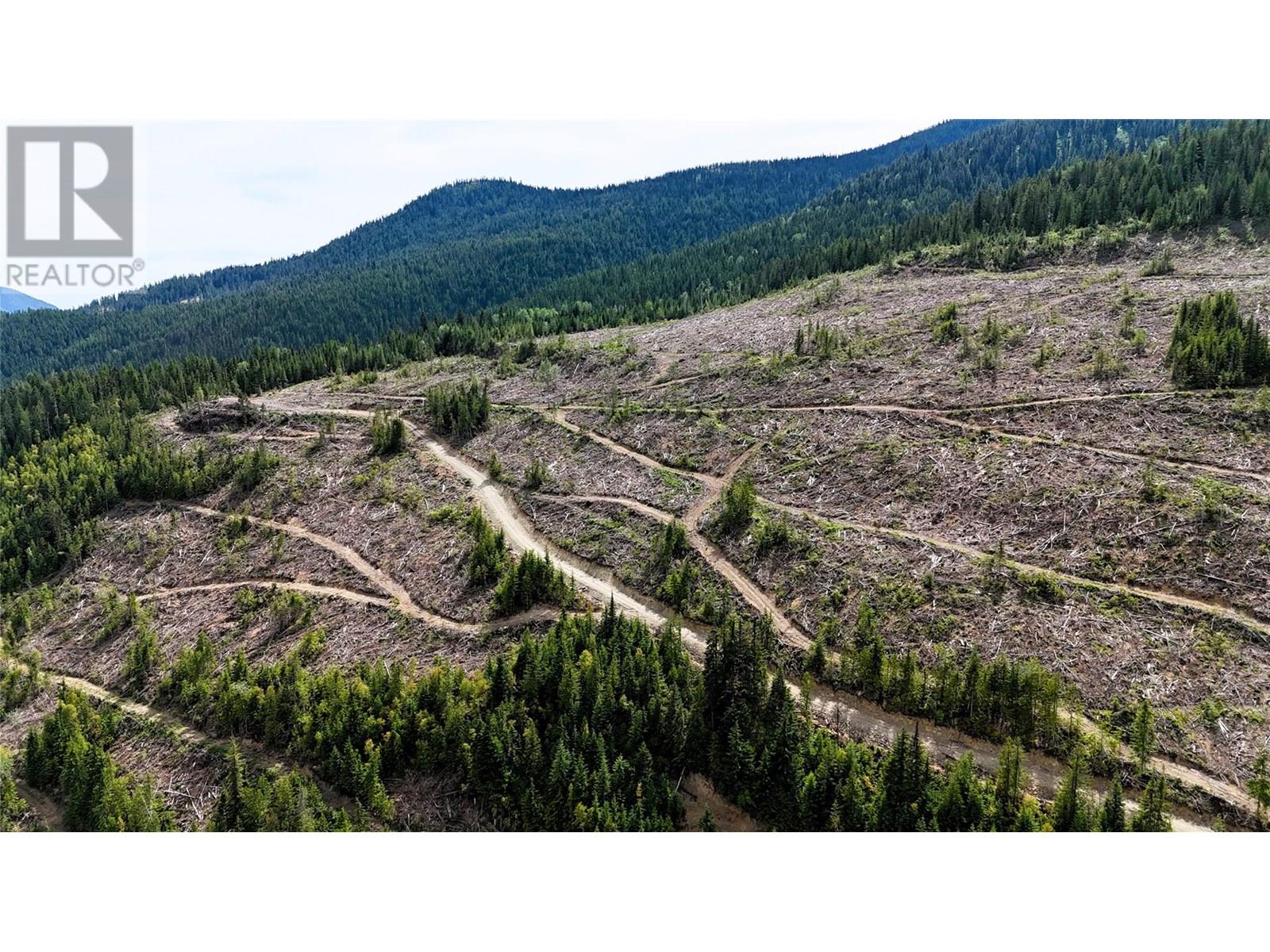 Quartz Creek Forest Service Road Road Lot# Parcel A, Ymir, British Columbia  V0G 2K0 - Photo 8 - 10355443