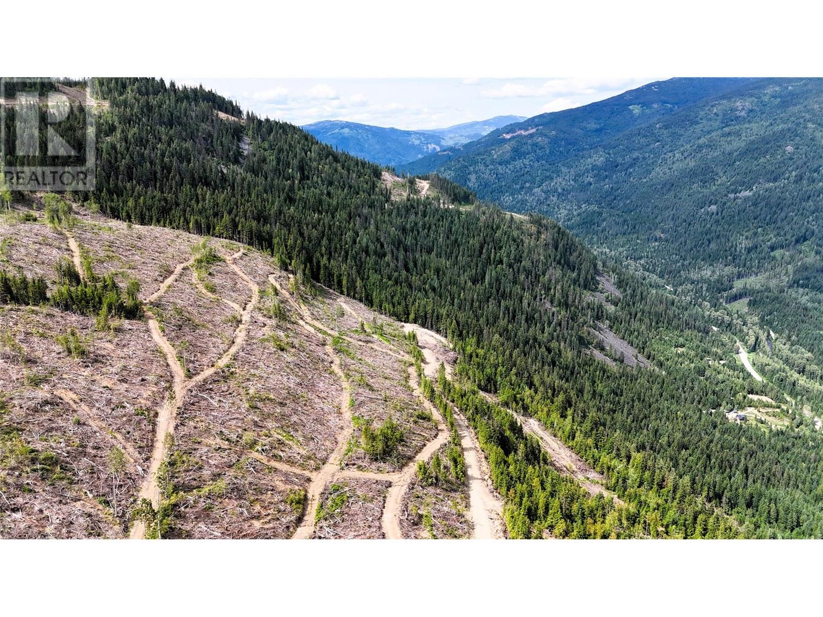 Quartz Creek Forest Service Road Road Lot# Parcel A, Ymir, British Columbia  V0G 2K0 - Photo 9 - 10355443