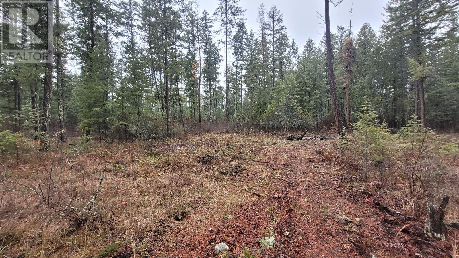 Lot 1 Caitlin Road, Christina Lake, British Columbia  V0H 1E0 - Photo 2 - 10355791