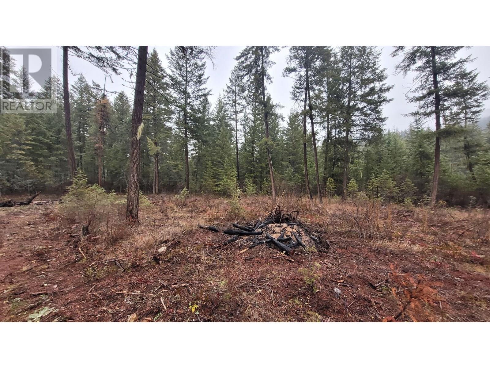 Lot 1 Caitlin Road, Christina Lake, British Columbia  V0H 1E0 - Photo 3 - 10355791