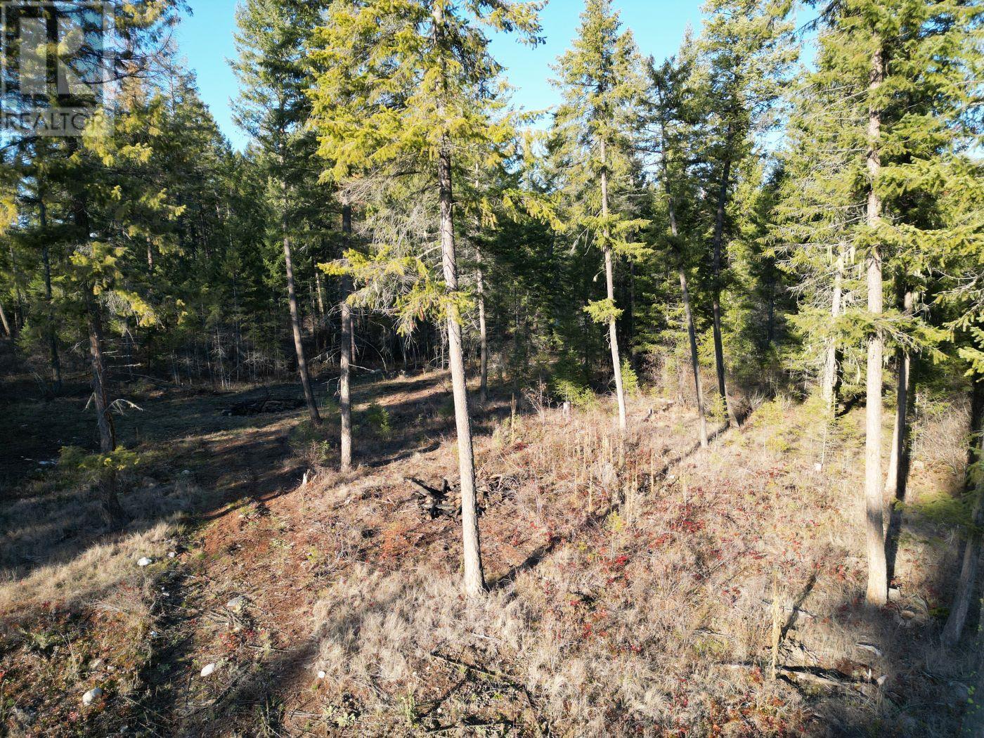 Lot 1 Caitlin Road, Christina Lake, British Columbia  V0H 1E0 - Photo 4 - 10355791