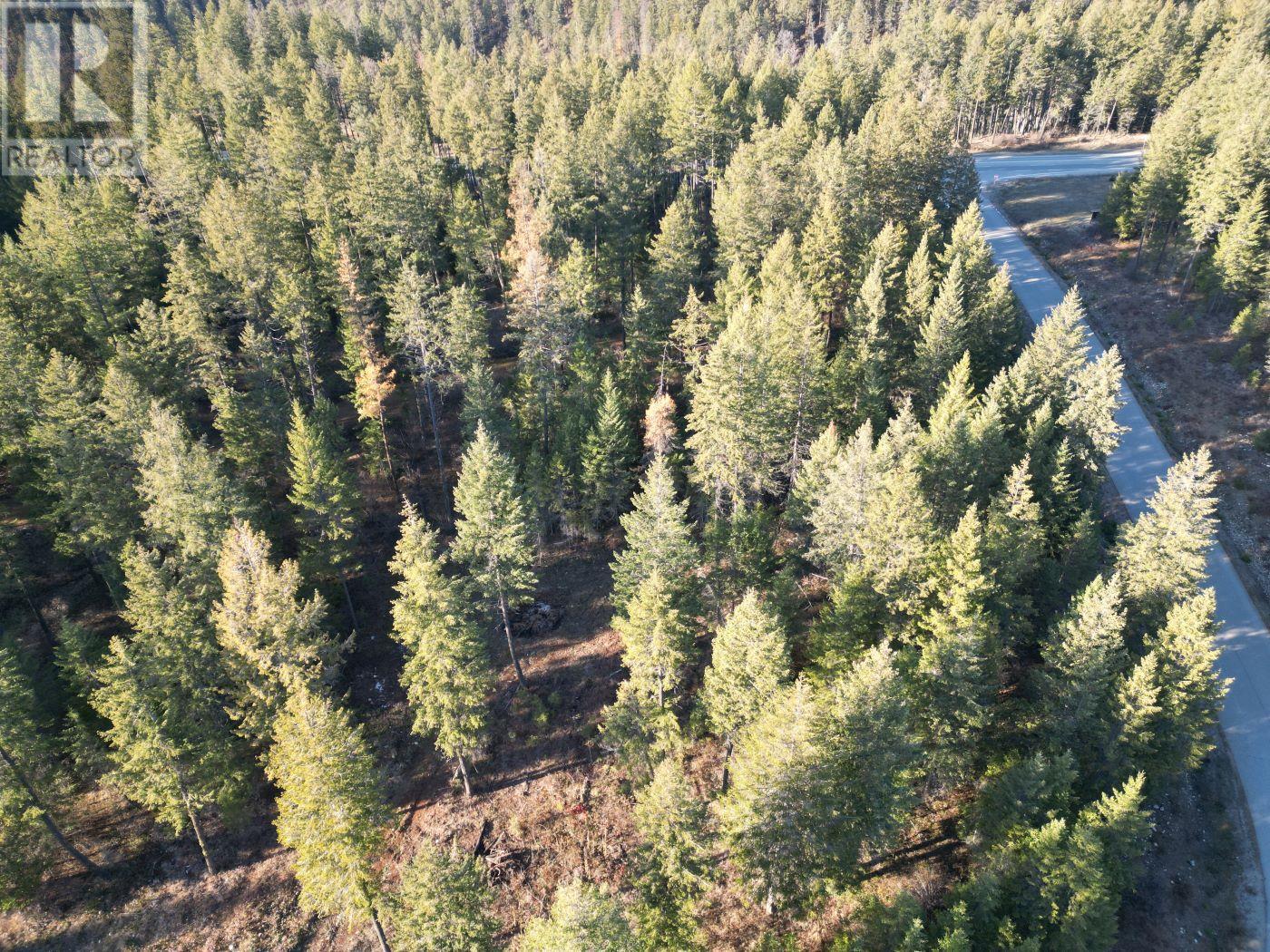 Lot 1 Caitlin Road, Christina Lake, British Columbia  V0H 1E0 - Photo 5 - 10355791