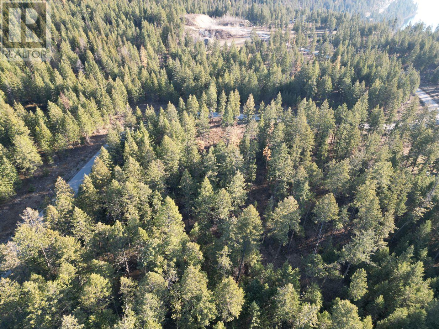 Lot 1 Caitlin Road, Christina Lake, British Columbia  V0H 1E0 - Photo 6 - 10355791