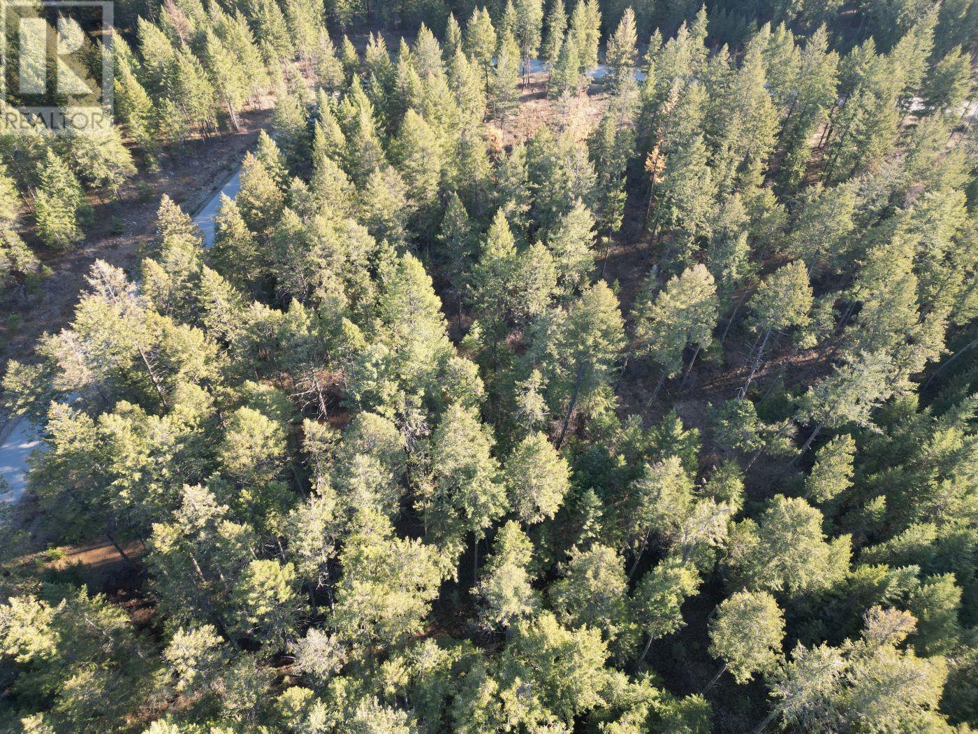 Lot 1 Caitlin Road, Christina Lake, British Columbia  V0H 1E0 - Photo 7 - 10355791