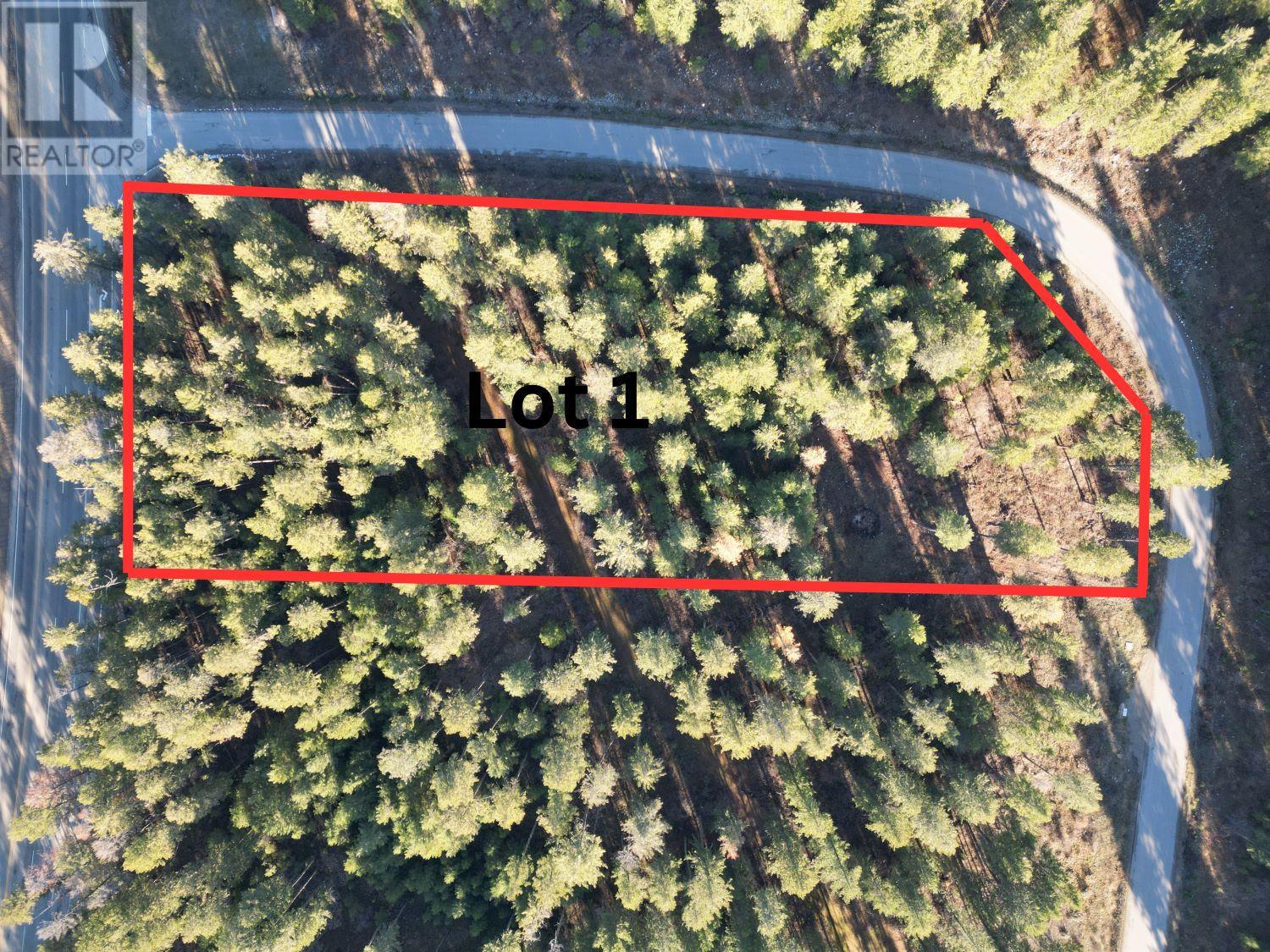 Lot 1 Caitlin Road, Christina Lake, British Columbia  V0H 1E0 - Photo 8 - 10355791