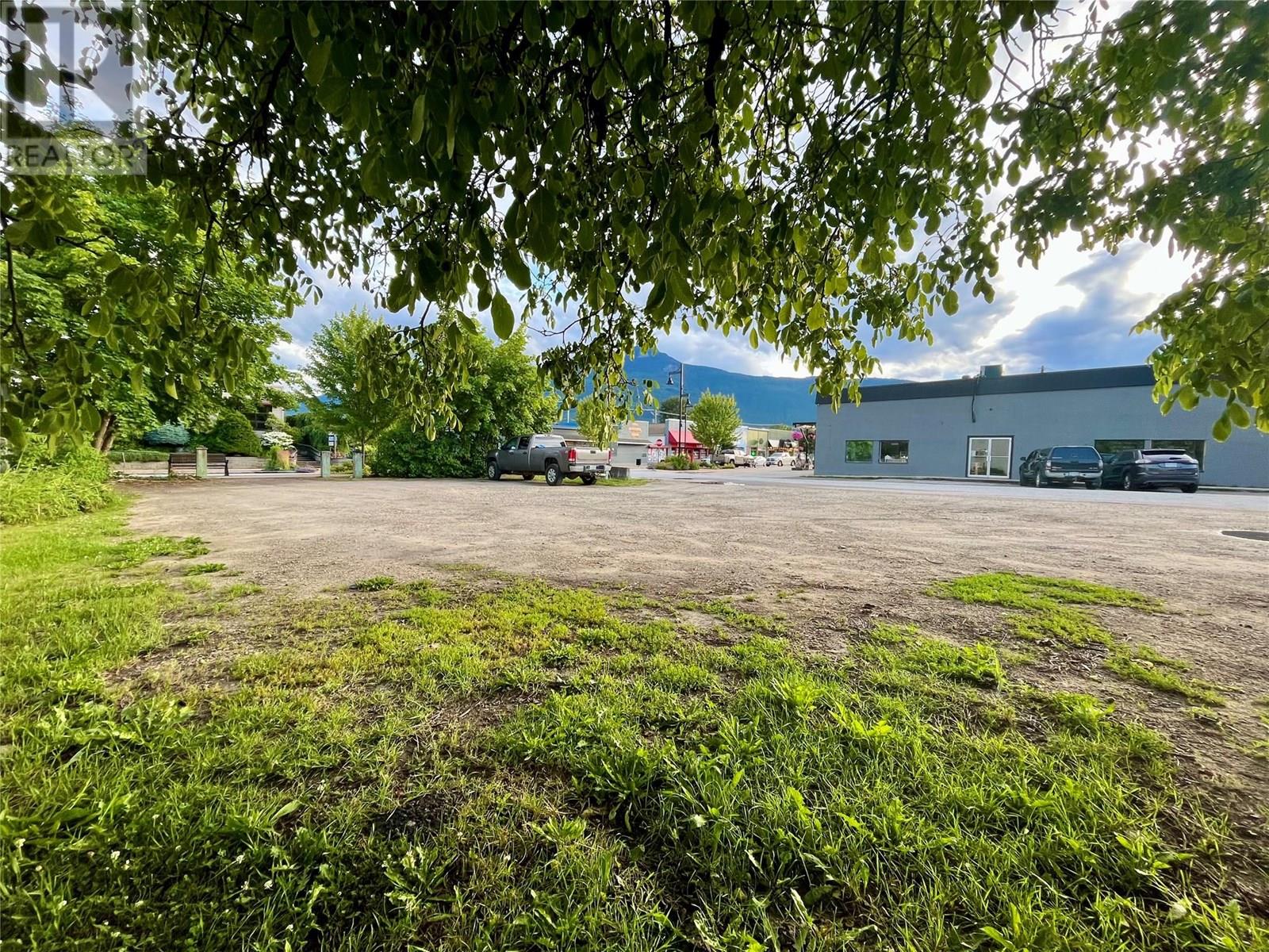 219 Broadway Street W, Nakusp, British Columbia  V0G 1R0 - Photo 3 - 10355502