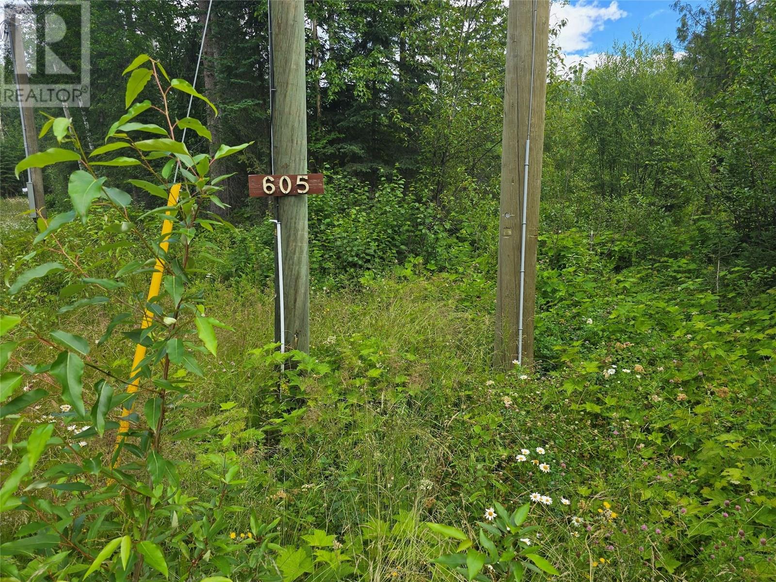 605 Moul Creek Road, Clearwater, British Columbia  V0E 1N1 - Photo 2 - 10355520