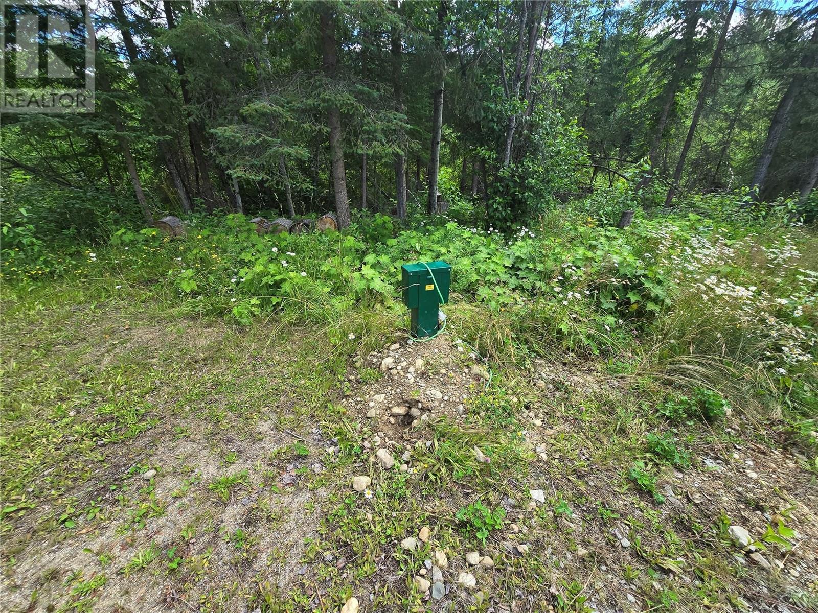 605 Moul Creek Road, Clearwater, British Columbia  V0E 1N1 - Photo 8 - 10355520