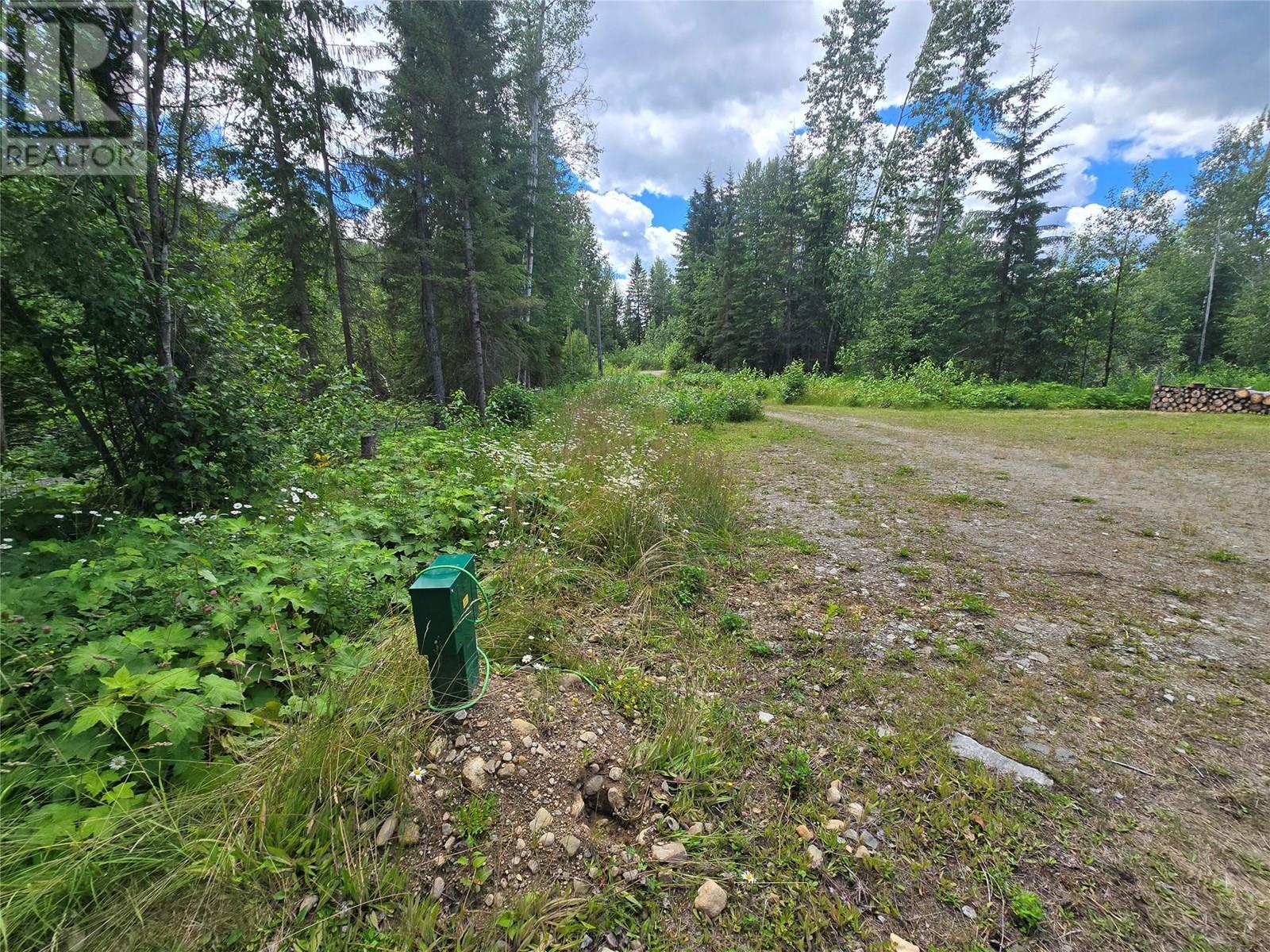 605 Moul Creek Road, Clearwater, British Columbia  V0E 1N1 - Photo 9 - 10355520