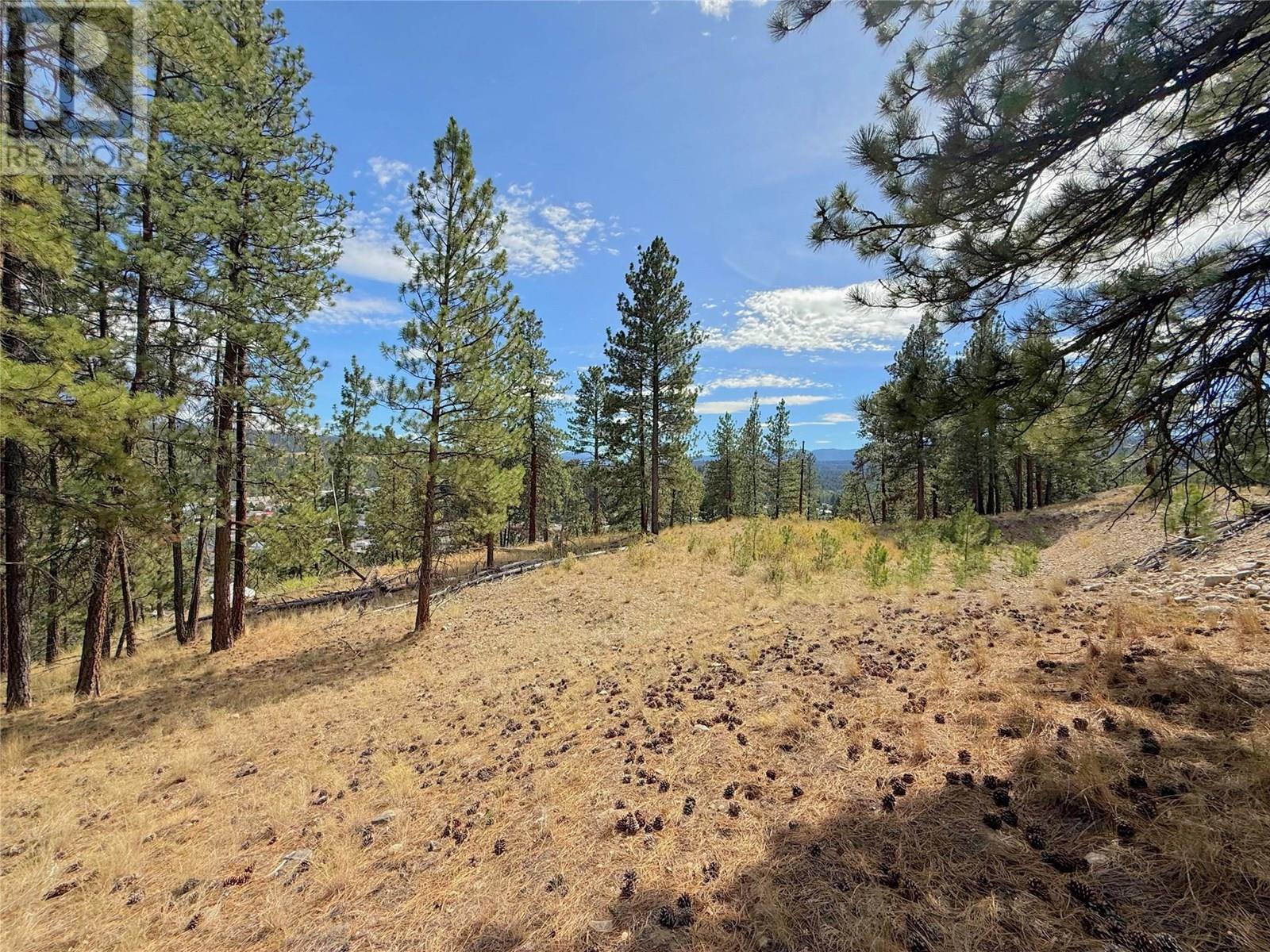 101 Jacobson Road, Princeton, British Columbia  V0X 1W0 - Photo 10 - 10355995