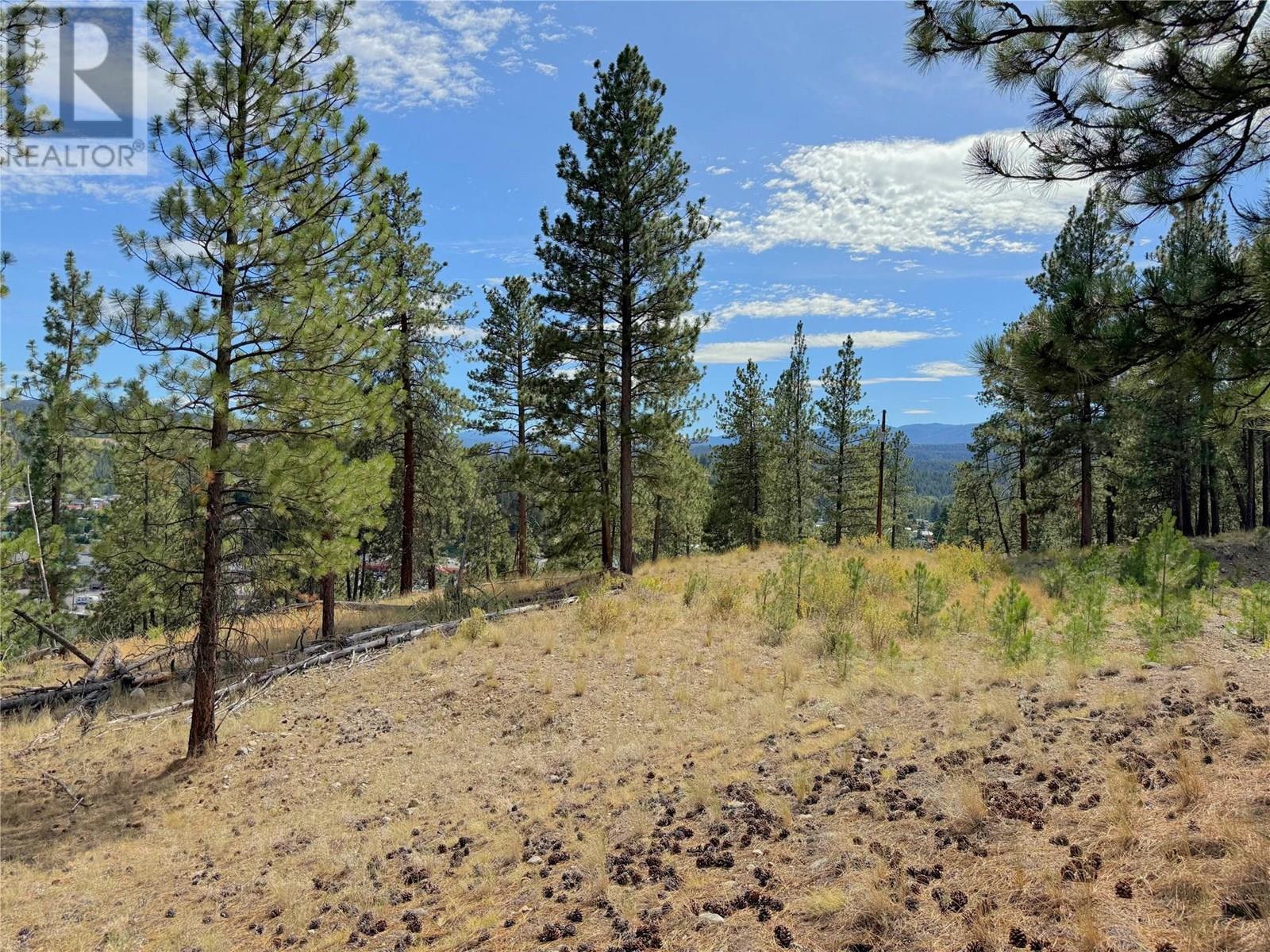 101 Jacobson Road, Princeton, British Columbia  V0X 1W0 - Photo 11 - 10355995