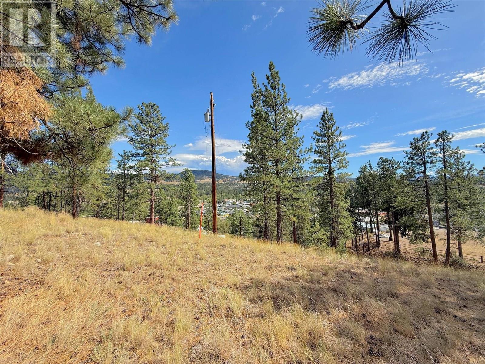 101 Jacobson Road, Princeton, British Columbia  V0X 1W0 - Photo 15 - 10355995