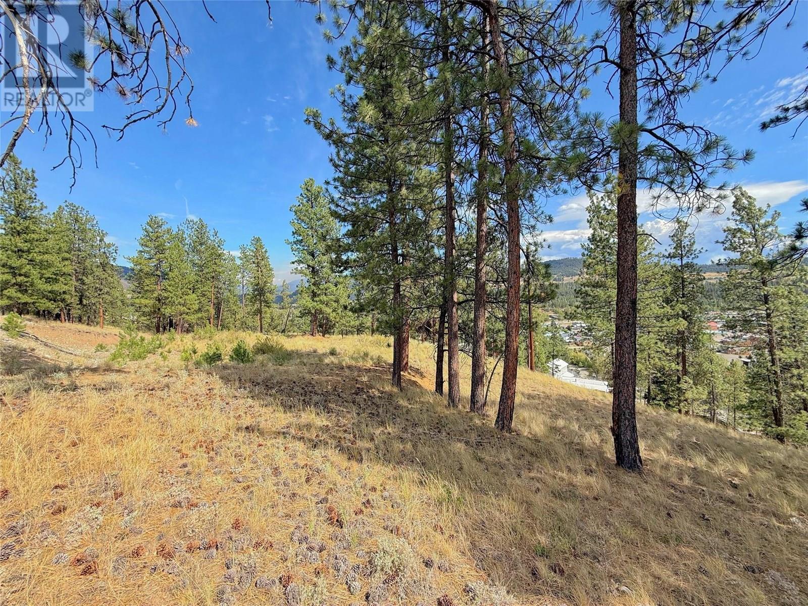 101 Jacobson Road, Princeton, British Columbia  V0X 1W0 - Photo 16 - 10355995