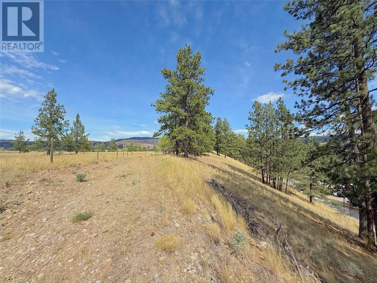 101 Jacobson Road, Princeton, British Columbia  V0X 1W0 - Photo 18 - 10355995