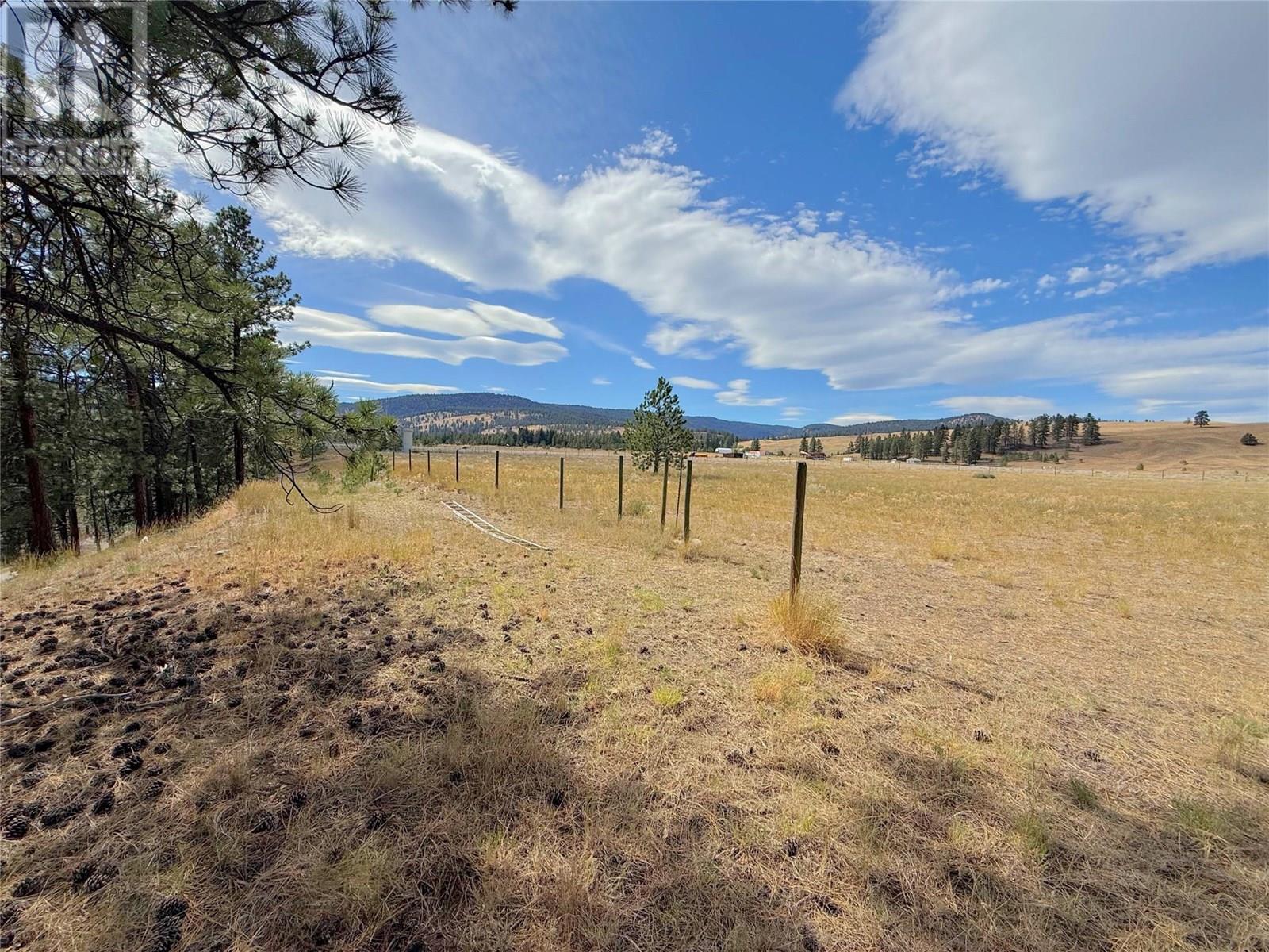 101 Jacobson Road, Princeton, British Columbia  V0X 1W0 - Photo 19 - 10355995