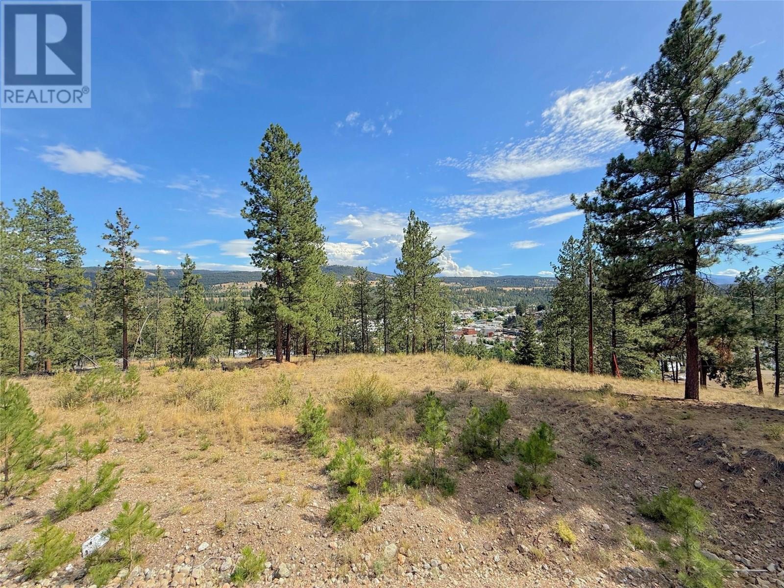 101 Jacobson Road, Princeton, British Columbia  V0X 1W0 - Photo 2 - 10355995