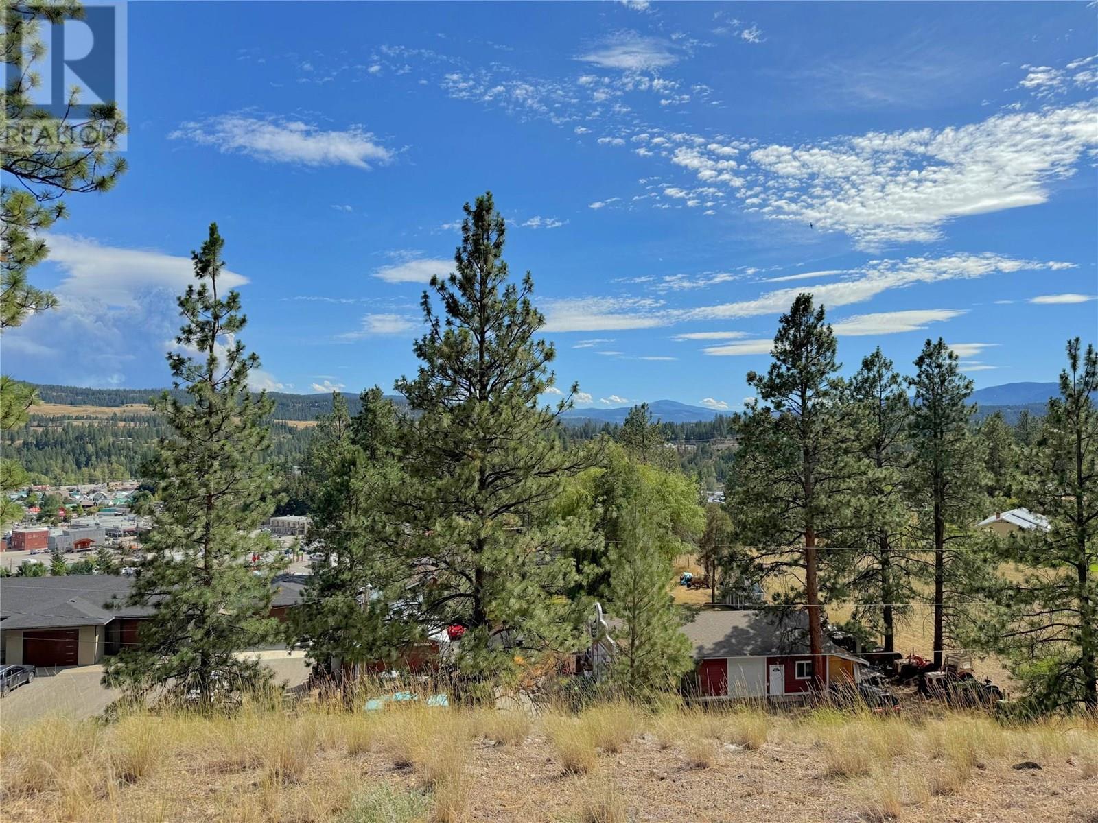 101 Jacobson Road, Princeton, British Columbia  V0X 1W0 - Photo 20 - 10355995