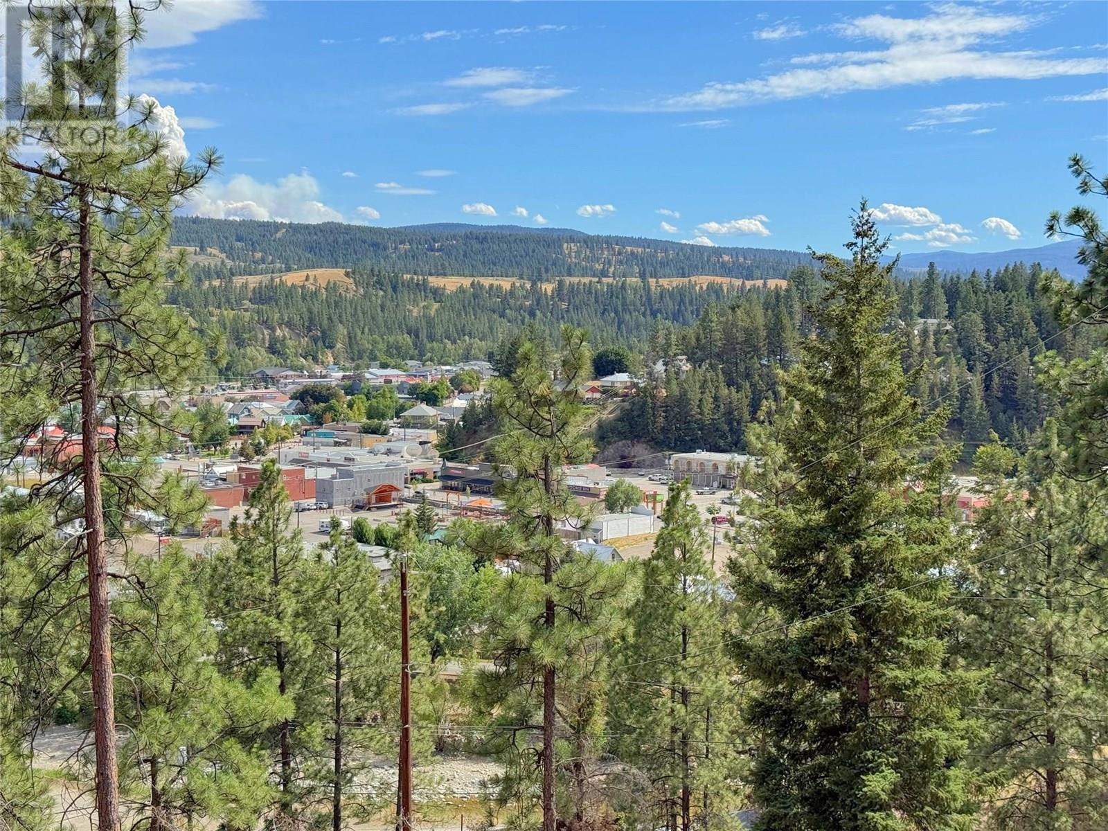 101 Jacobson Road, Princeton, British Columbia  V0X 1W0 - Photo 22 - 10355995