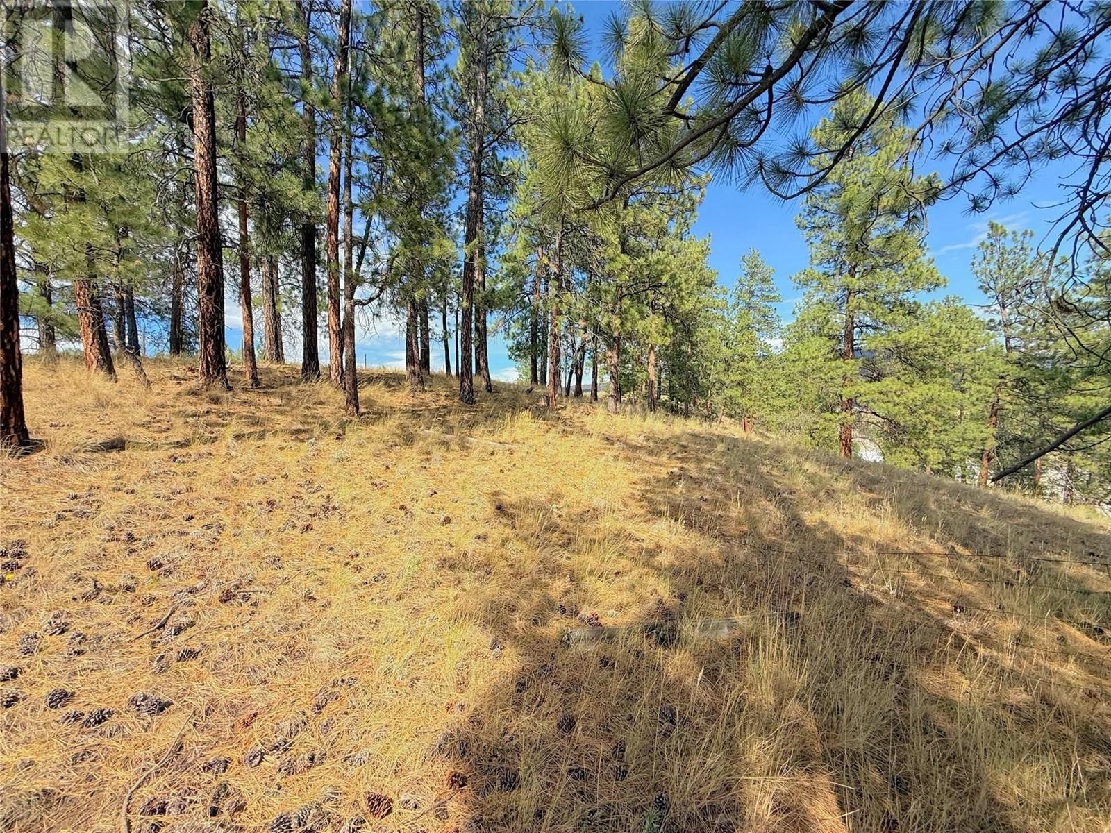 101 Jacobson Road, Princeton, British Columbia  V0X 1W0 - Photo 26 - 10355995