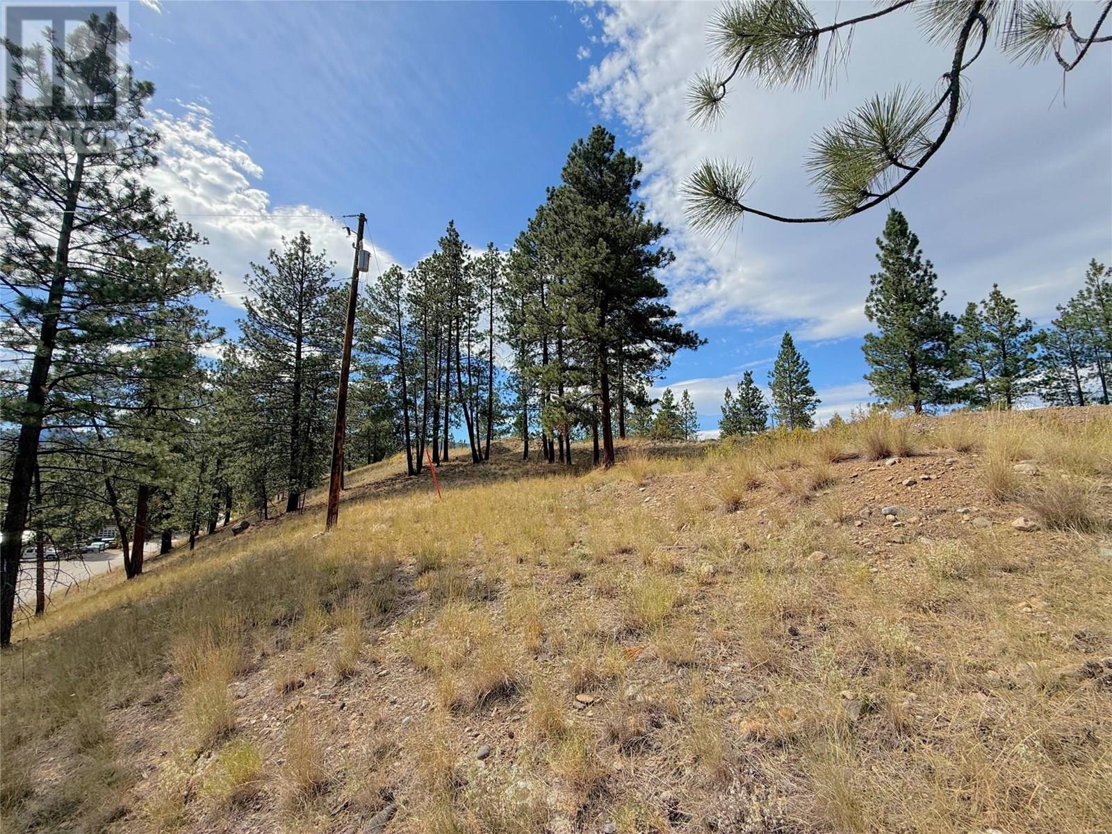 101 Jacobson Road, Princeton, British Columbia  V0X 1W0 - Photo 28 - 10355995