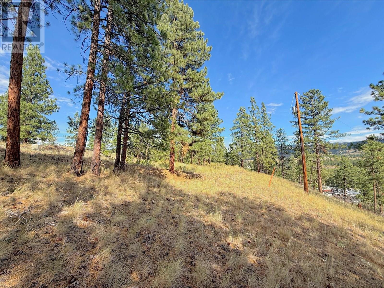 101 Jacobson Road, Princeton, British Columbia  V0X 1W0 - Photo 29 - 10355995