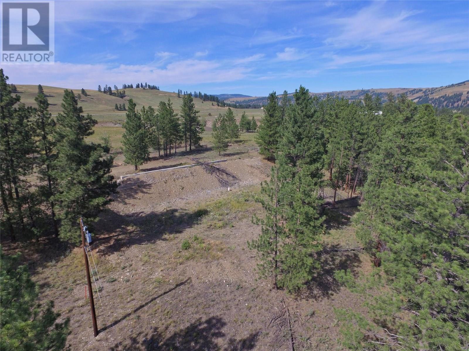 101 Jacobson Road, Princeton, British Columbia  V0X 1W0 - Photo 3 - 10355995