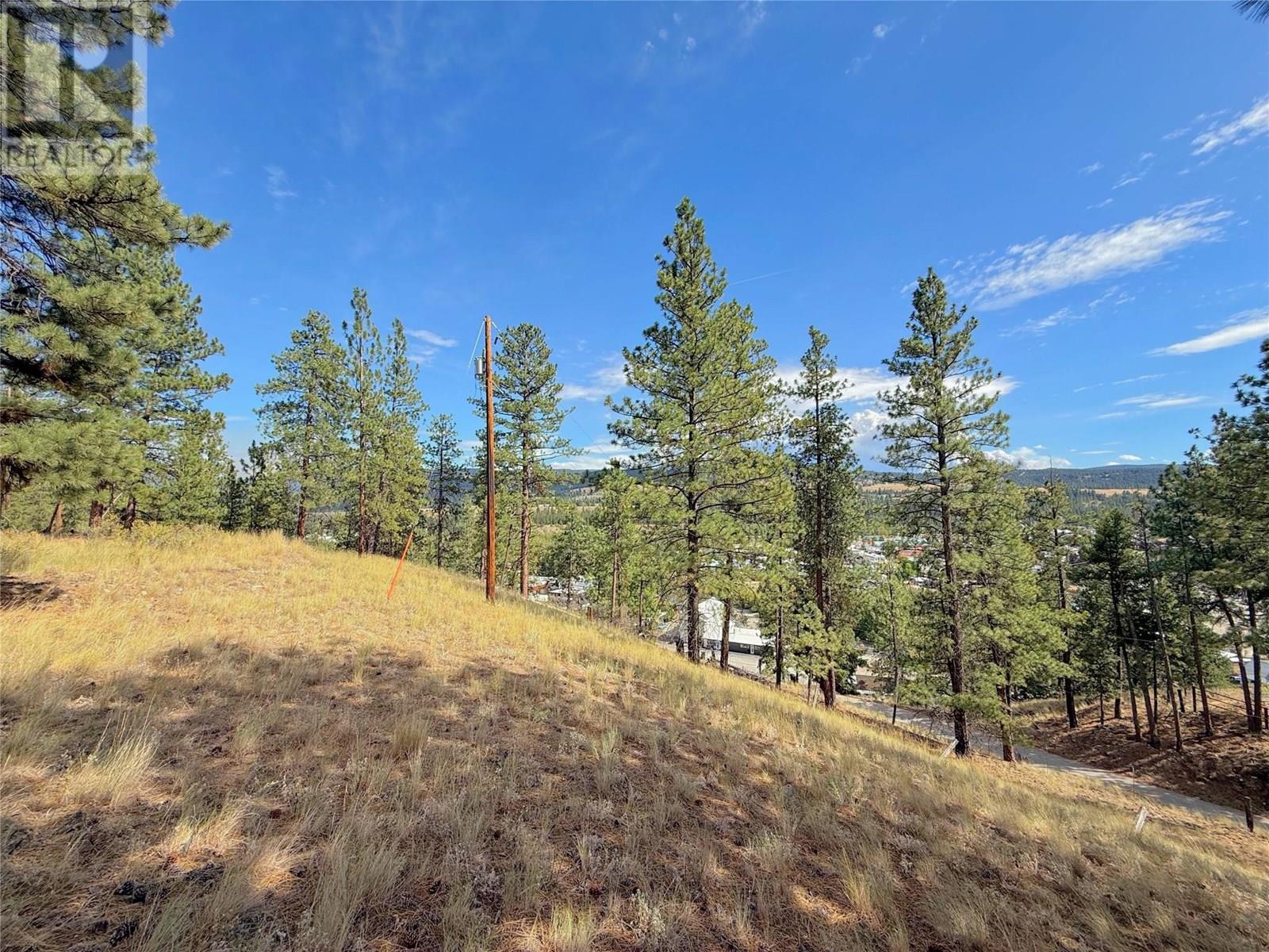 101 Jacobson Road, Princeton, British Columbia  V0X 1W0 - Photo 30 - 10355995